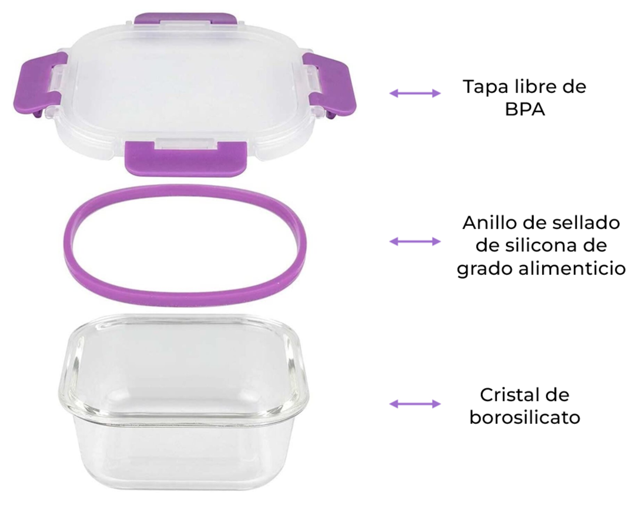 Un recipiente de alimentos desmontado. Tiene una base de vidrio transparente, un anillo de silicona morado y una tapa con cierres morados.