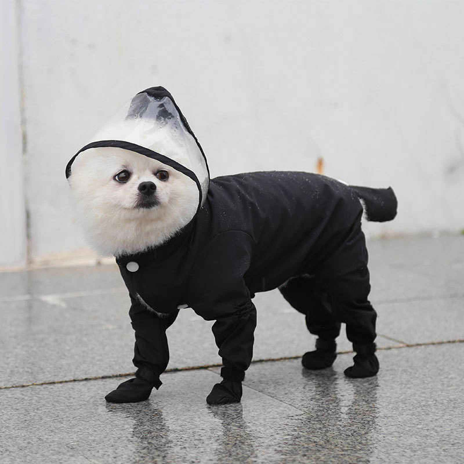 Ein weißer Hund trägt einen schwarzen Regenanzug mit transparentem Kapuze. Er steht auf nassem Untergrund und schaut nach vorn.