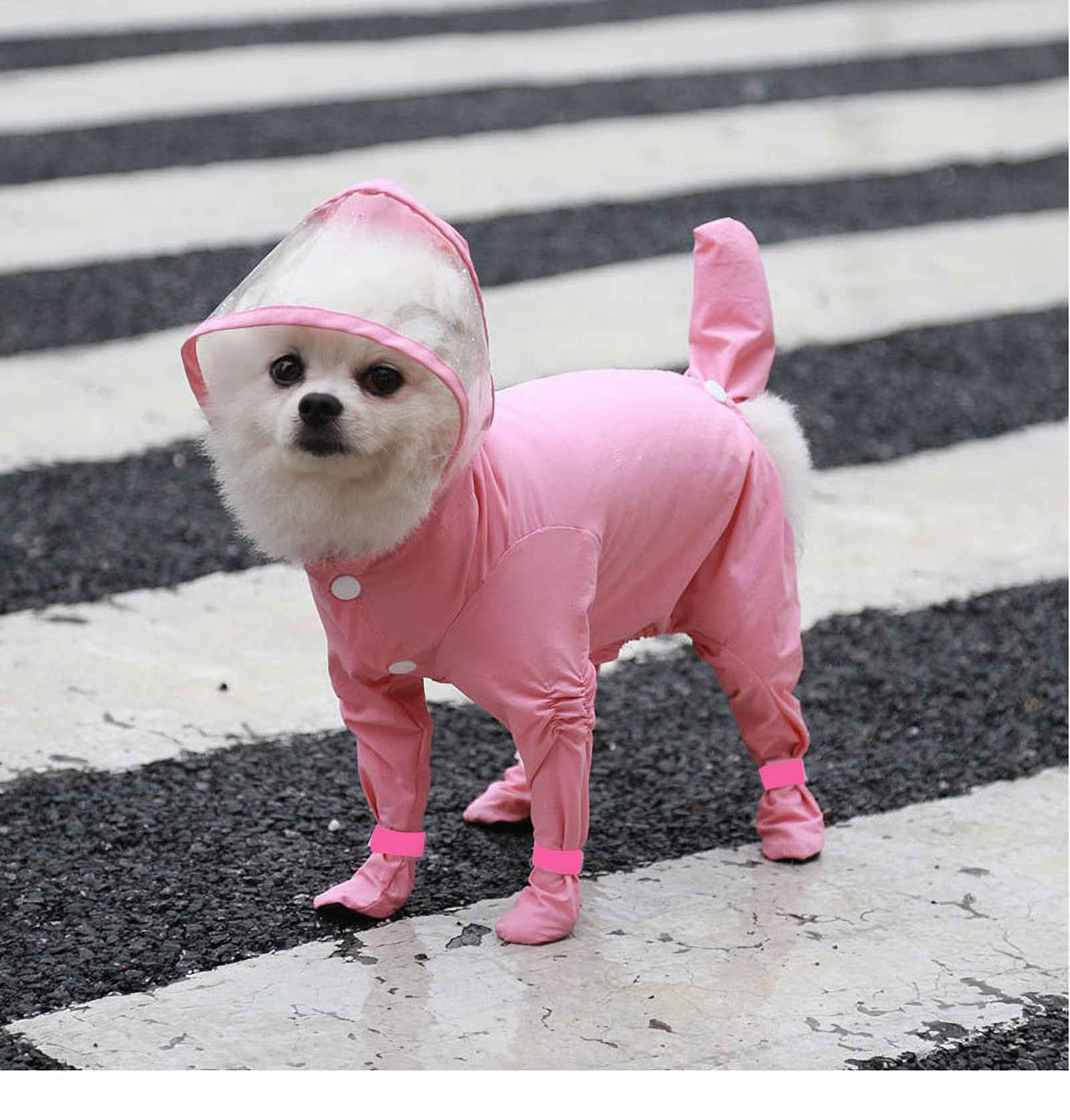 Ein kleiner weißer Hund in einem rosa Regenmantel mit Kapuze und Stiefeln steht auf einem Zebrastreifen.