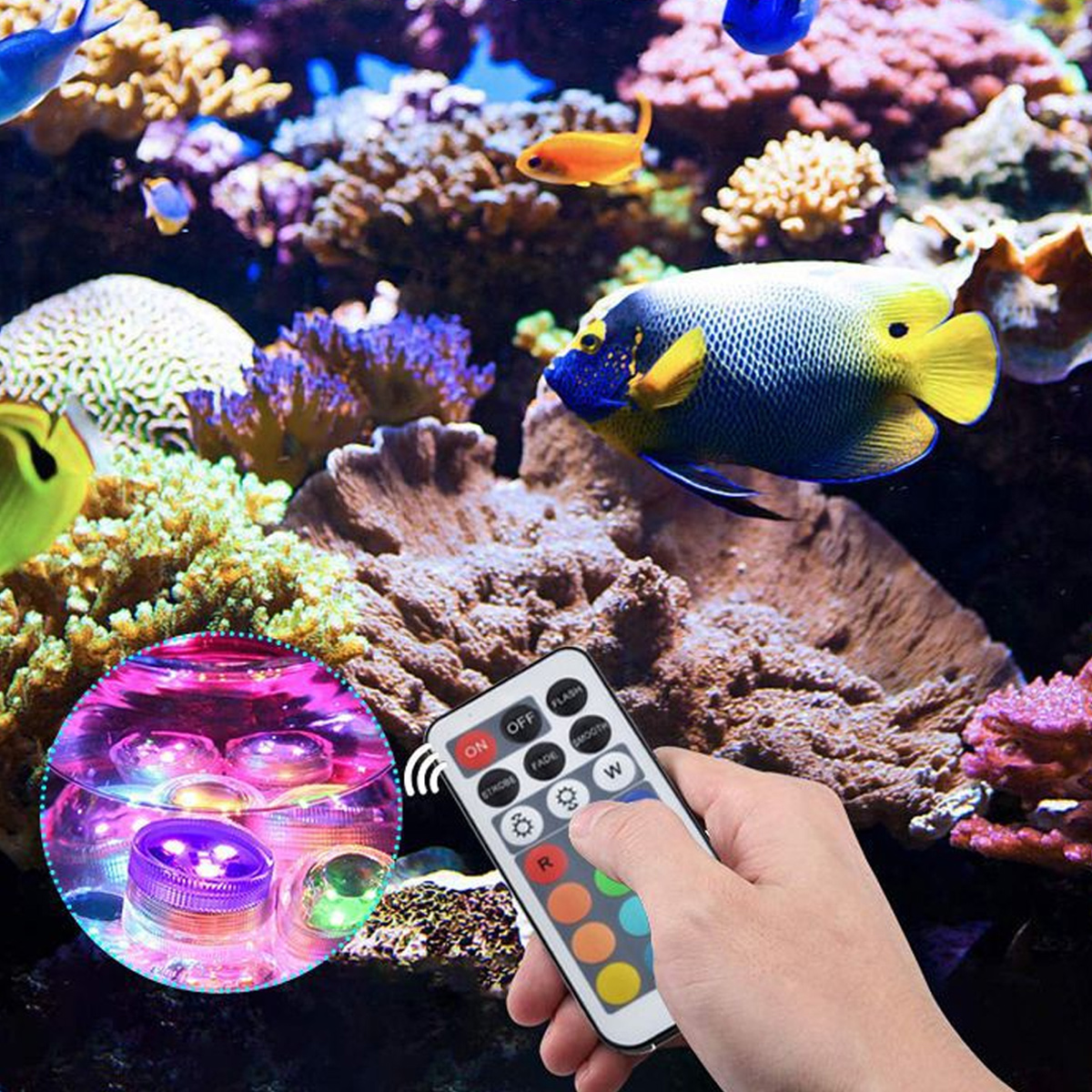 Eine Hand hält eine Fernbedienung in der Nähe eines Aquariums. Bunte Fische schwimmen zwischen Korallen. Nahaufnahme von Unterwasserlichtern.
