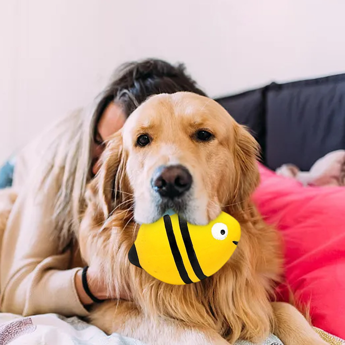 Ein Golden Retriever hält ein gelbes bienenförmiges Spielzeug im Maul. Eine Person kuschelt mit dem Hund. Ein pinkes Kissen ist im Hintergrund.