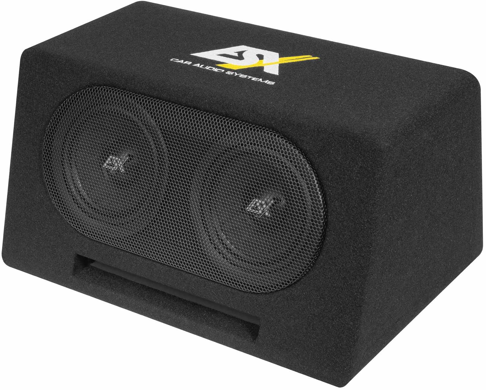 Ein schwarzer Auto-Audio-Subwoofer mit zwei Lautsprechern hinter einem Gitter. Oben befindet sich ein Logo und der Text 'CAR AUDIO SYSTEMS'.