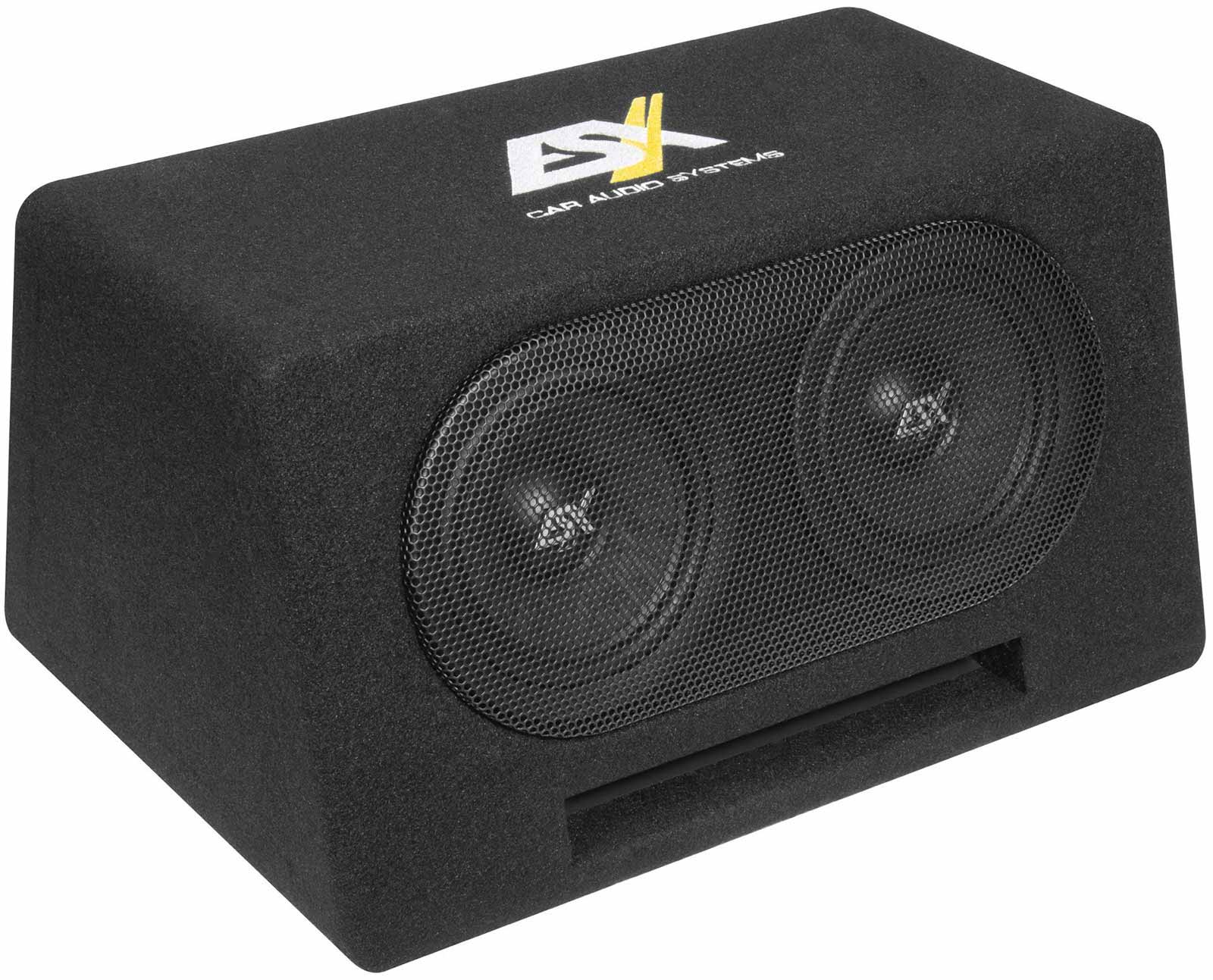 Schwarzer Auto-Subwoofer mit zwei Lautsprechern hinter einem Netz. 'ESX Car Audio Systems' ist oben aufgedruckt.