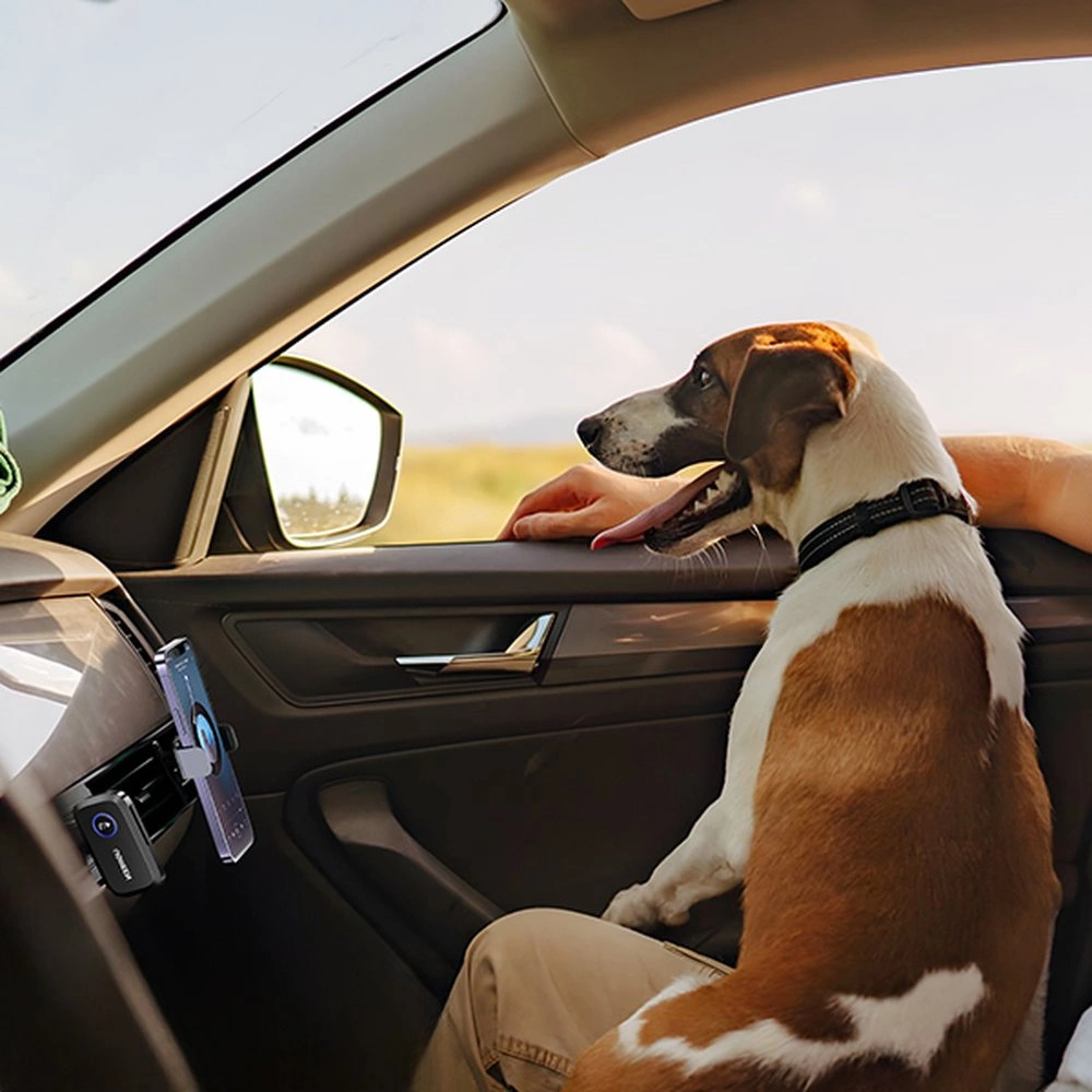 Pies z brązowo-białym futrem wygląda przez okno samochodu. Telefon jest zamontowany w samochodzie. Pies ma język na wierzchu.