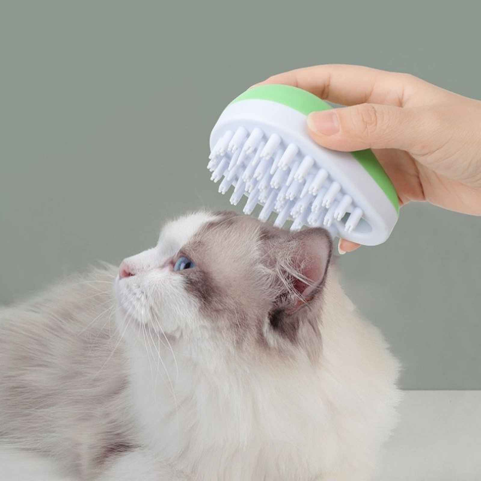 Eine Hand bürstet eine weiß-graue Katze mit einer grün-weißen Bürste. Die Katze schaut nach oben.