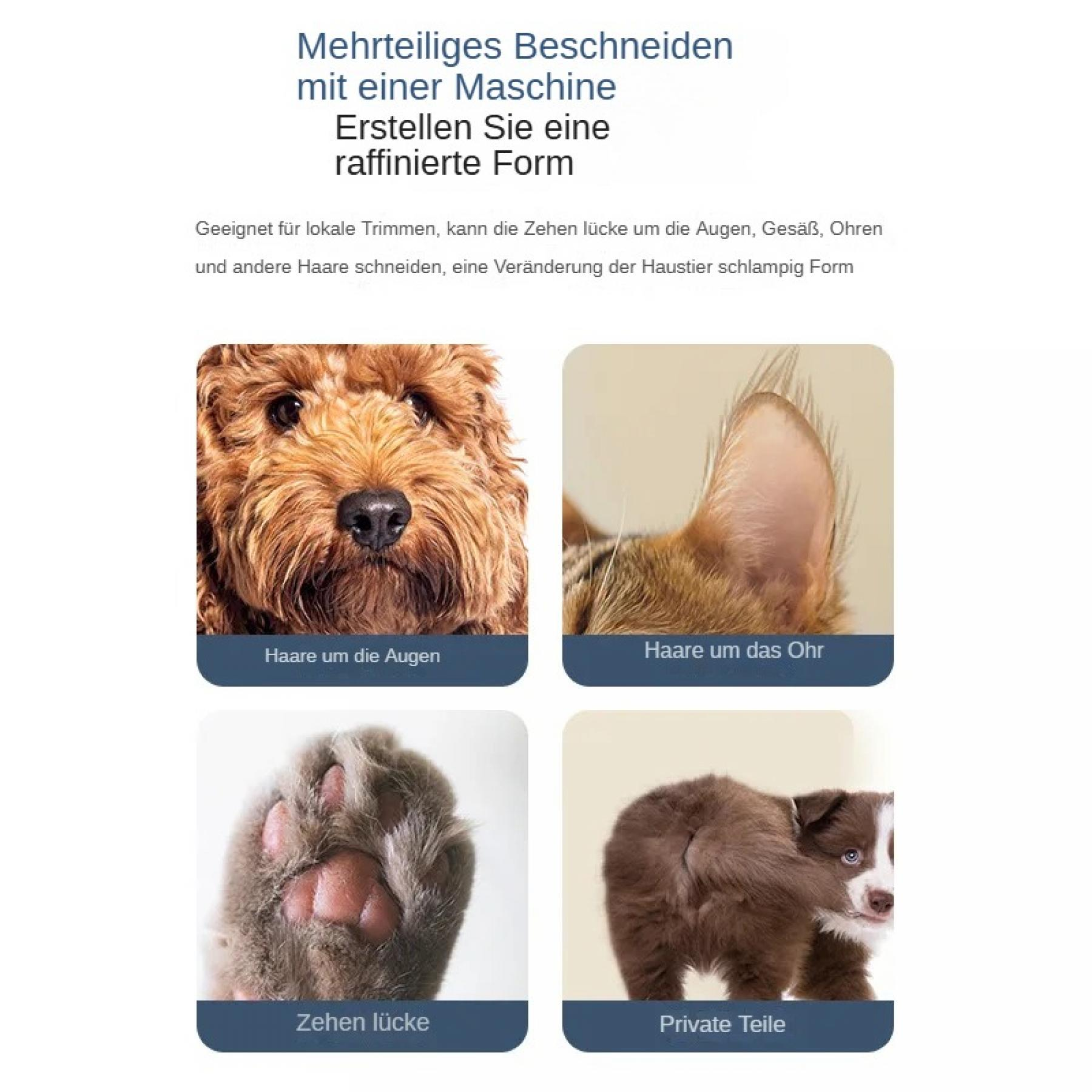 Das Bild zeigt Konzepte der Haustierpflege. Enthält Nahaufnahmen von Hundegesicht, Ohr, Pfote und Welpenhinterteil.