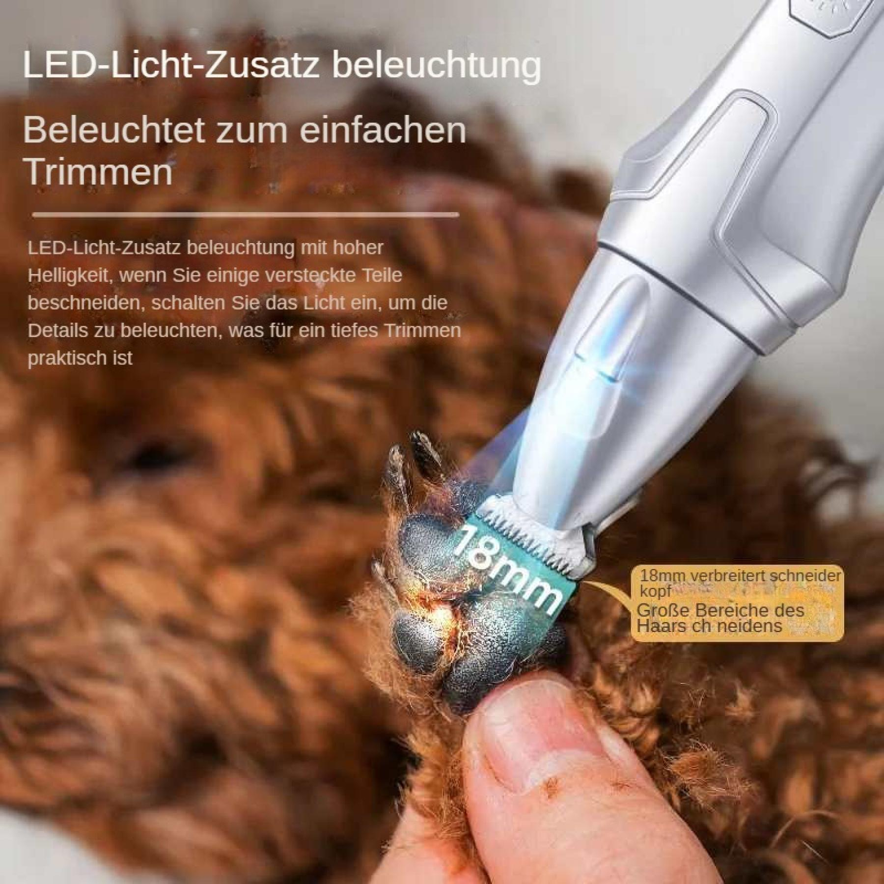 Nahaufnahme einer Hundepfote, die mit einem silbernen Trimmer getrimmt wird. Der Trimmer hat eine 18-mm-Klinge und LED-Licht.