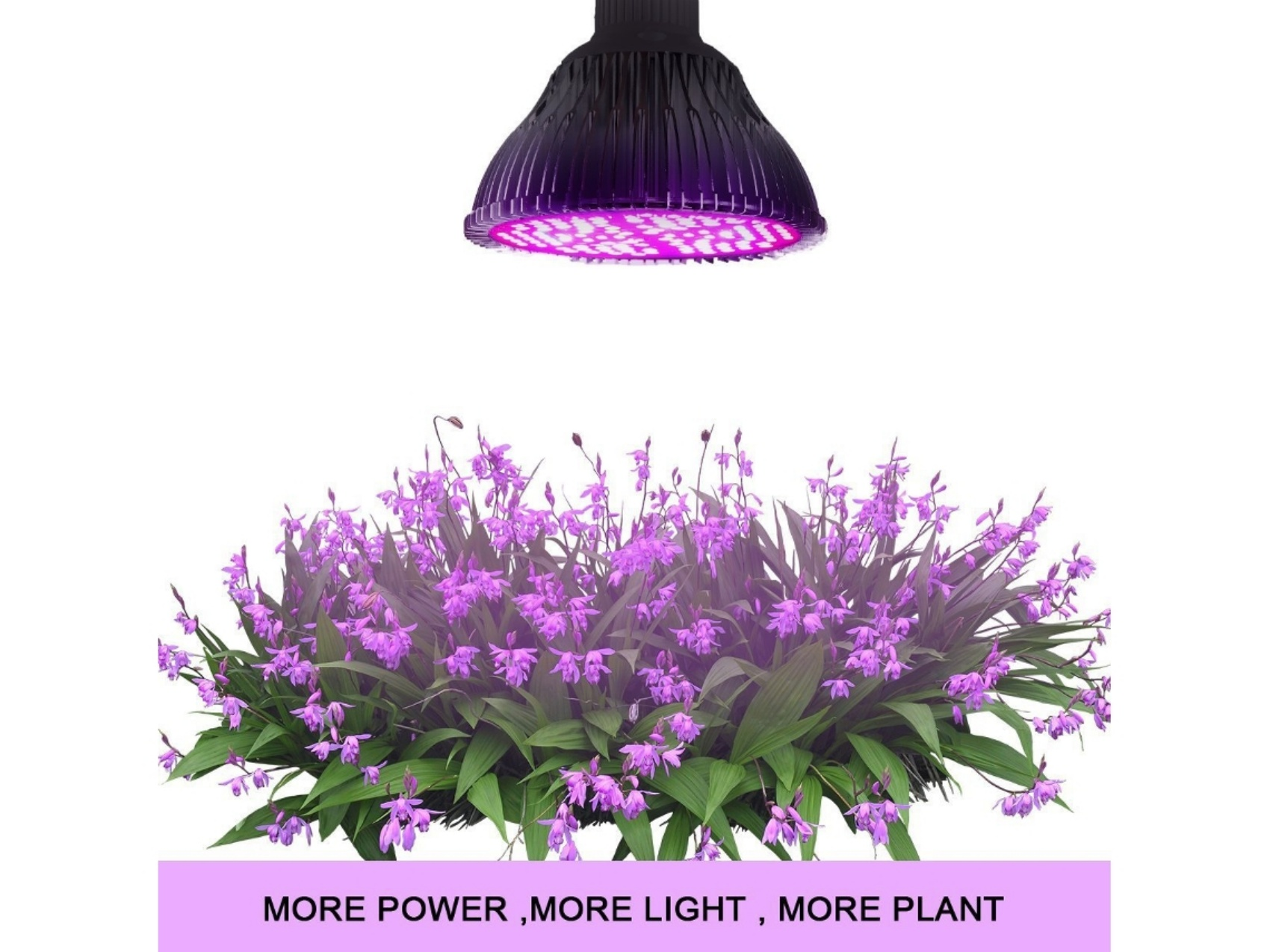 CRRYNUO LED-Pflanzen, Vollspektrum Lampe | MediaMarkt