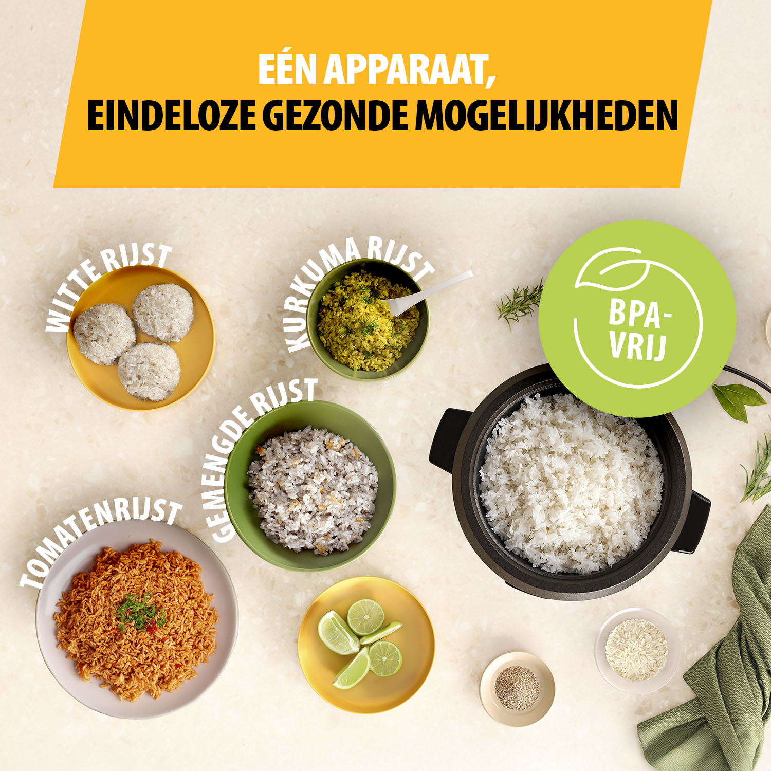 Image shows various rice dishes: white, turmeric, tomato, and mixed rice. A rice cooker and a BPA-free symbol are also present.