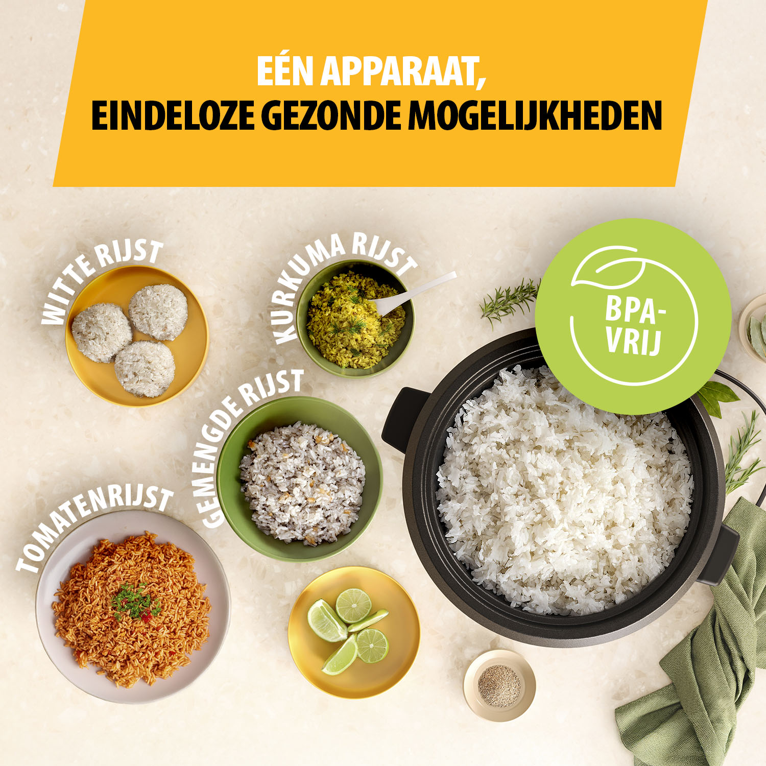 Image shows various rice dishes like white, tomato, and mixed rice. There's also a rice cooker with rice, lime slices, and a BPA-free label.