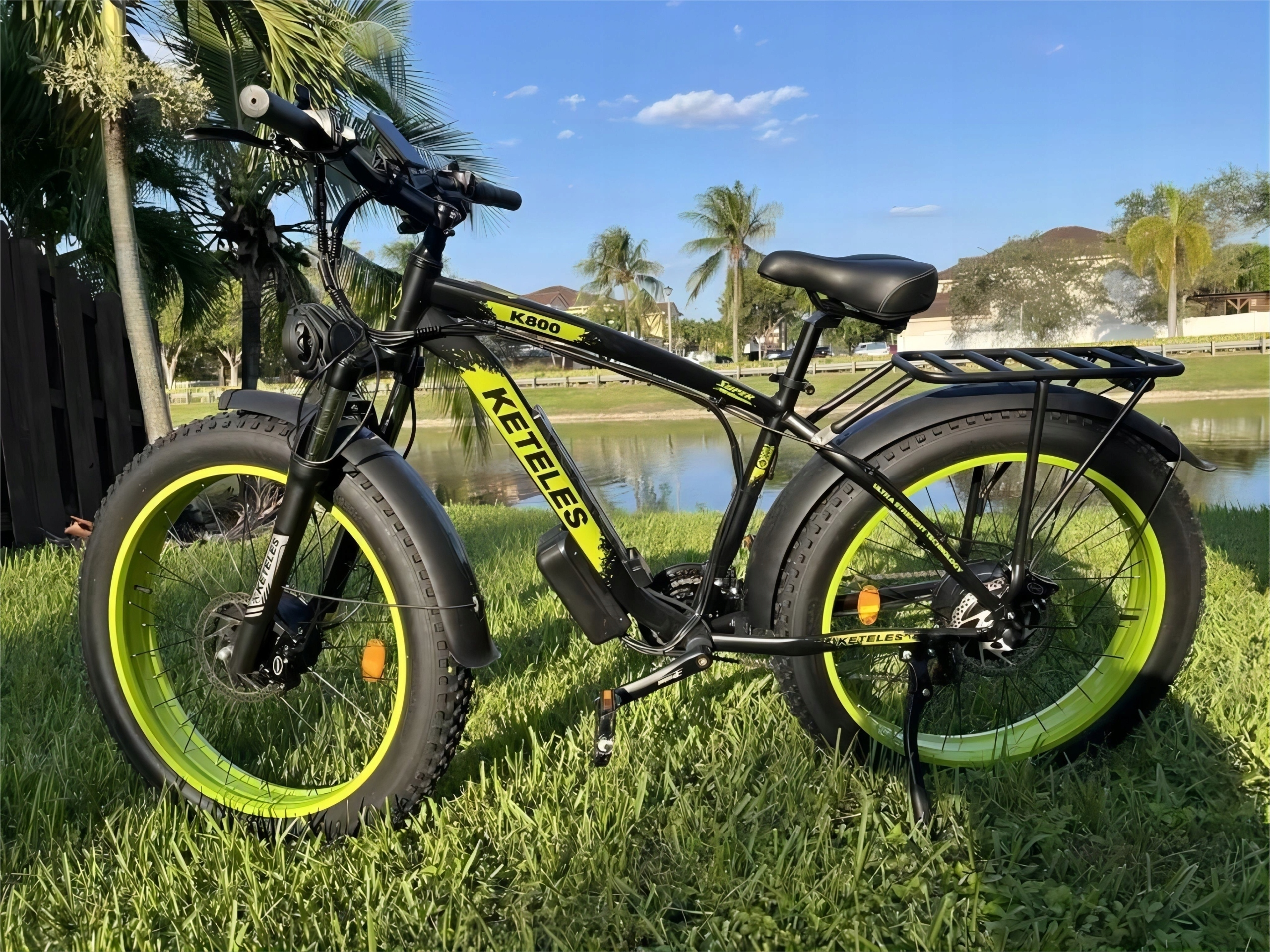Una bici elettrica nera e gialla è sull'erba verde. Palme e un lago sullo sfondo.