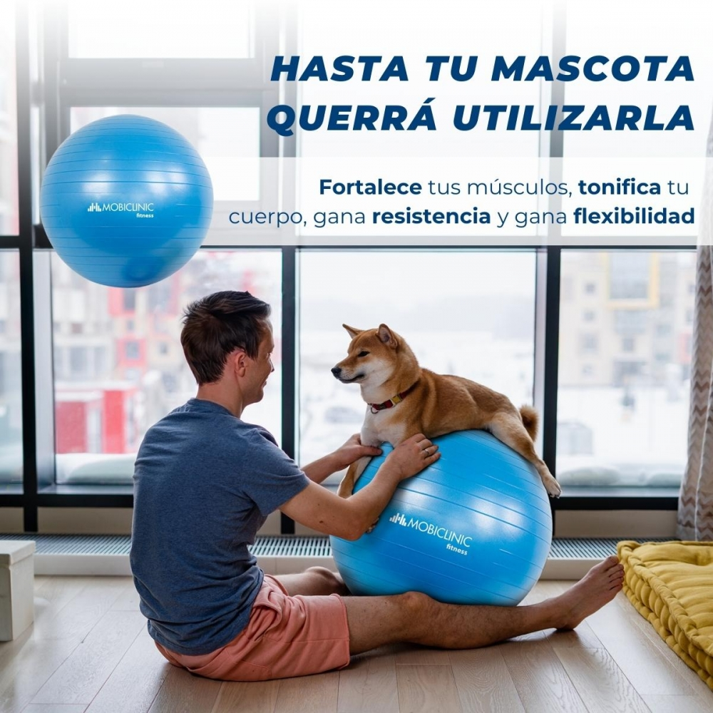 Un hombre está sentado con un perro sobre una pelota de ejercicio azul. Otra pelota flota arriba. El texto en español promueve el ejercicio.