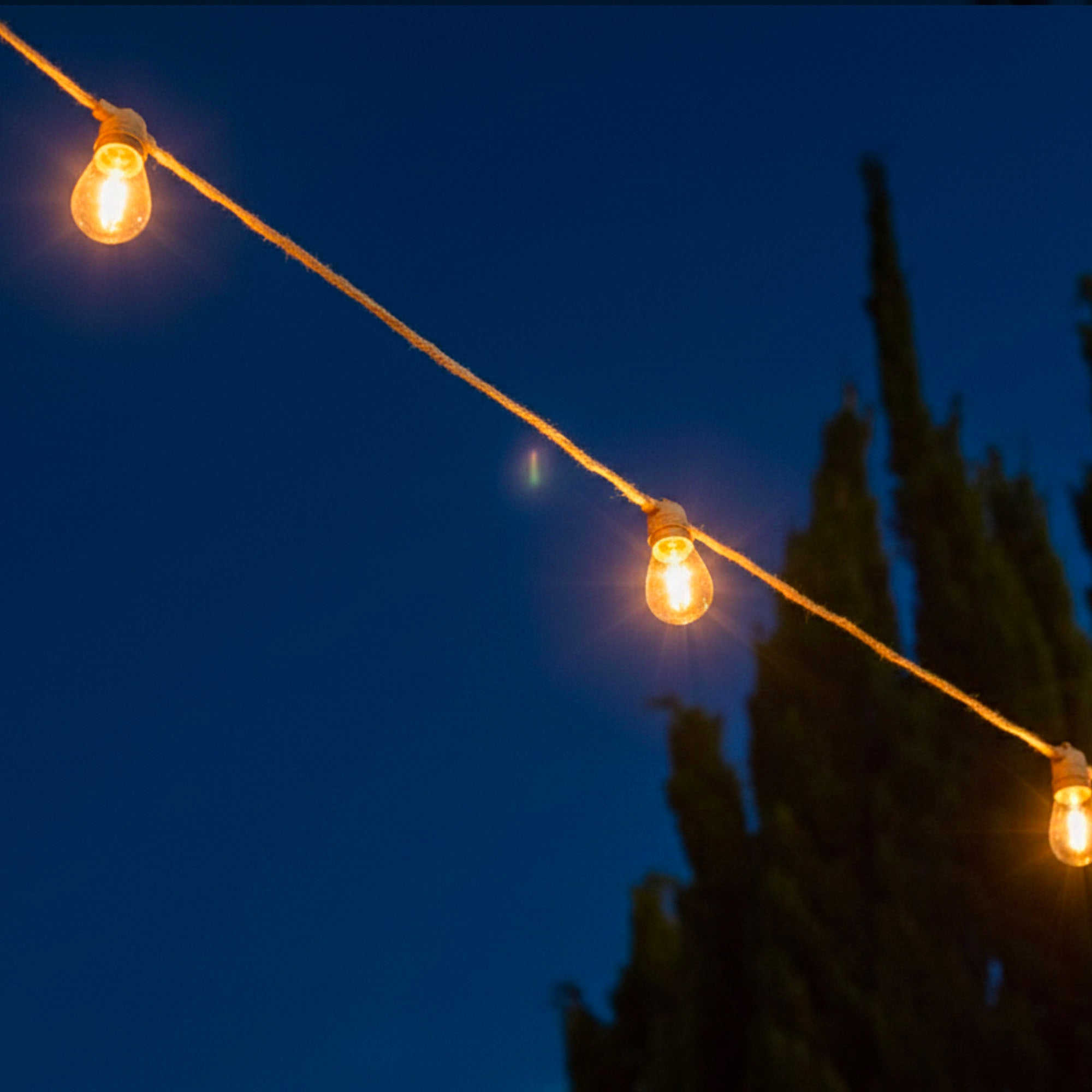 Lichterketten mit glühenden Glühbirnen vor einem dunkelblauen Himmel, hohe Bäume rechts.