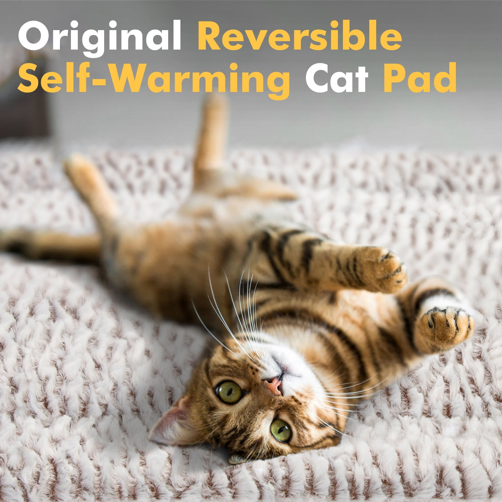 Eine Katze liegt auf einem weißen, flauschigen Katzenpad. Die Katze ist braun mit grünen Augen und blickt in die Kamera.