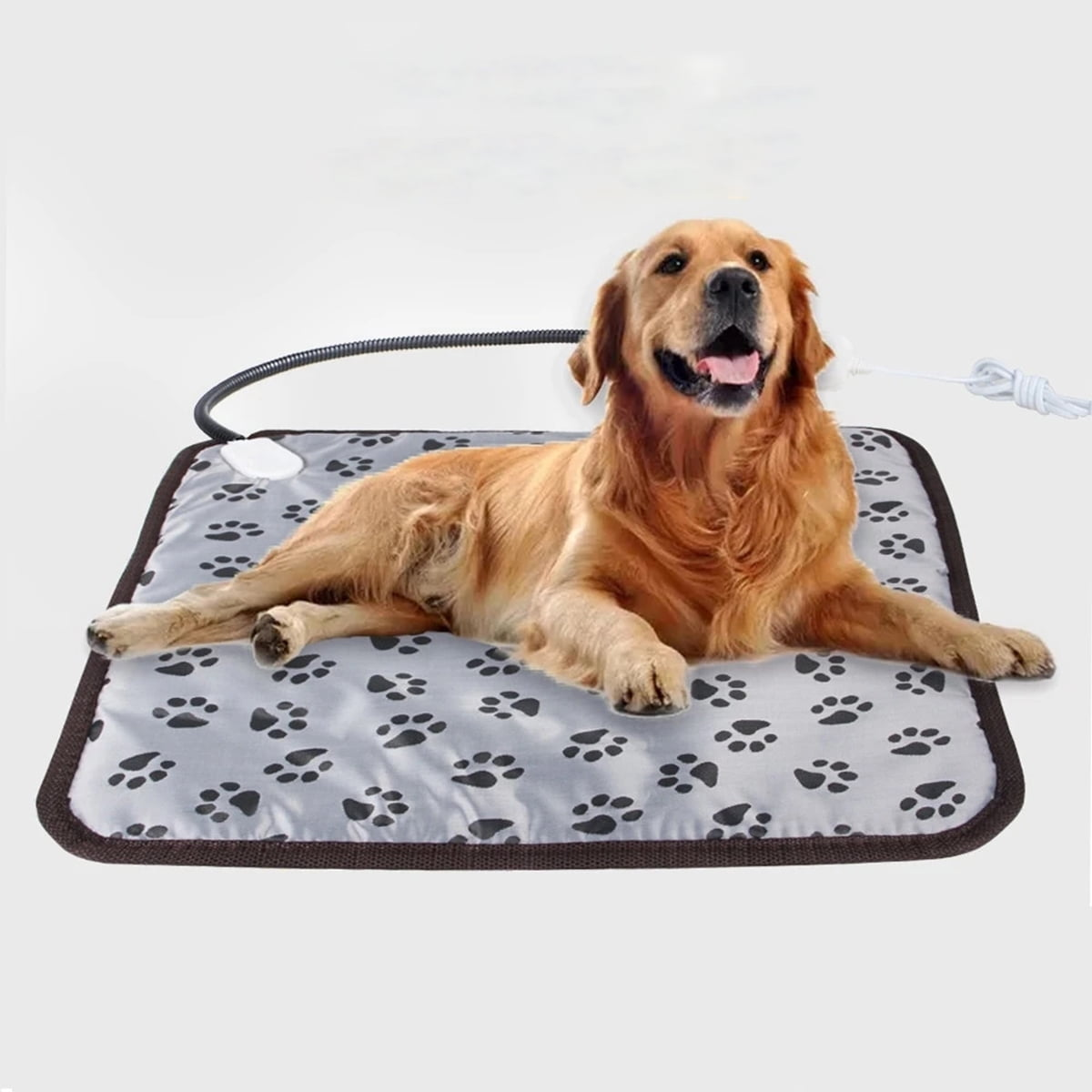 Ein Golden Retriever liegt auf einer beheizten Matte mit Pfotenabdruckmuster. Der Hund hat das Maul offen. Kabel sind sichtbar.