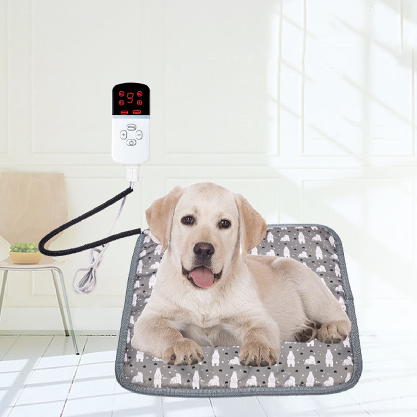 Ein Labrador-Welpe liegt auf einer beheizten Haustierbett. Ein digitales Steuergerät zeigt die Temperatur an.