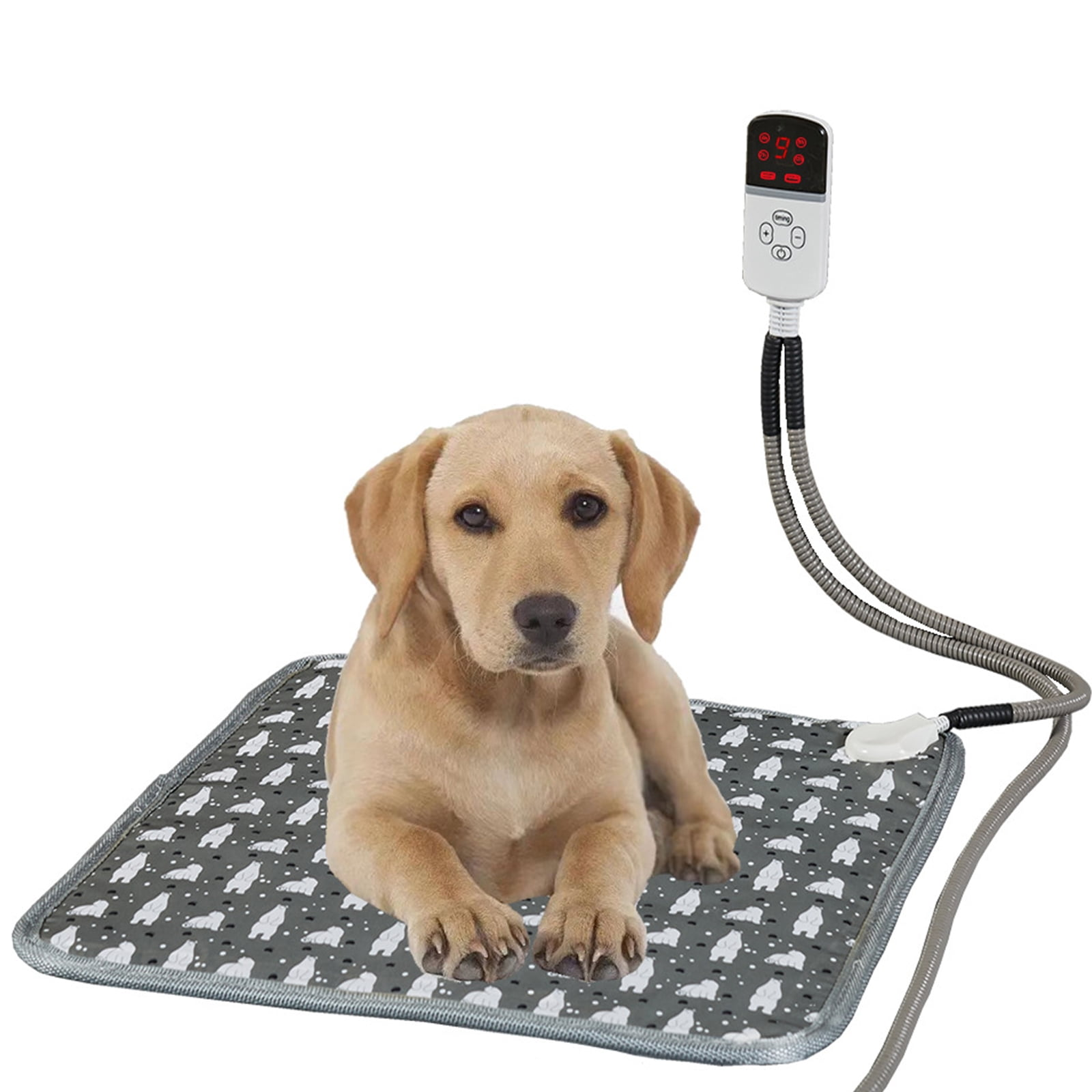 Ein hellbrauner Labrador liegt auf einem grauen Hundebett mit weißen Bärenprints. Rechts sind Controller und Kabel.