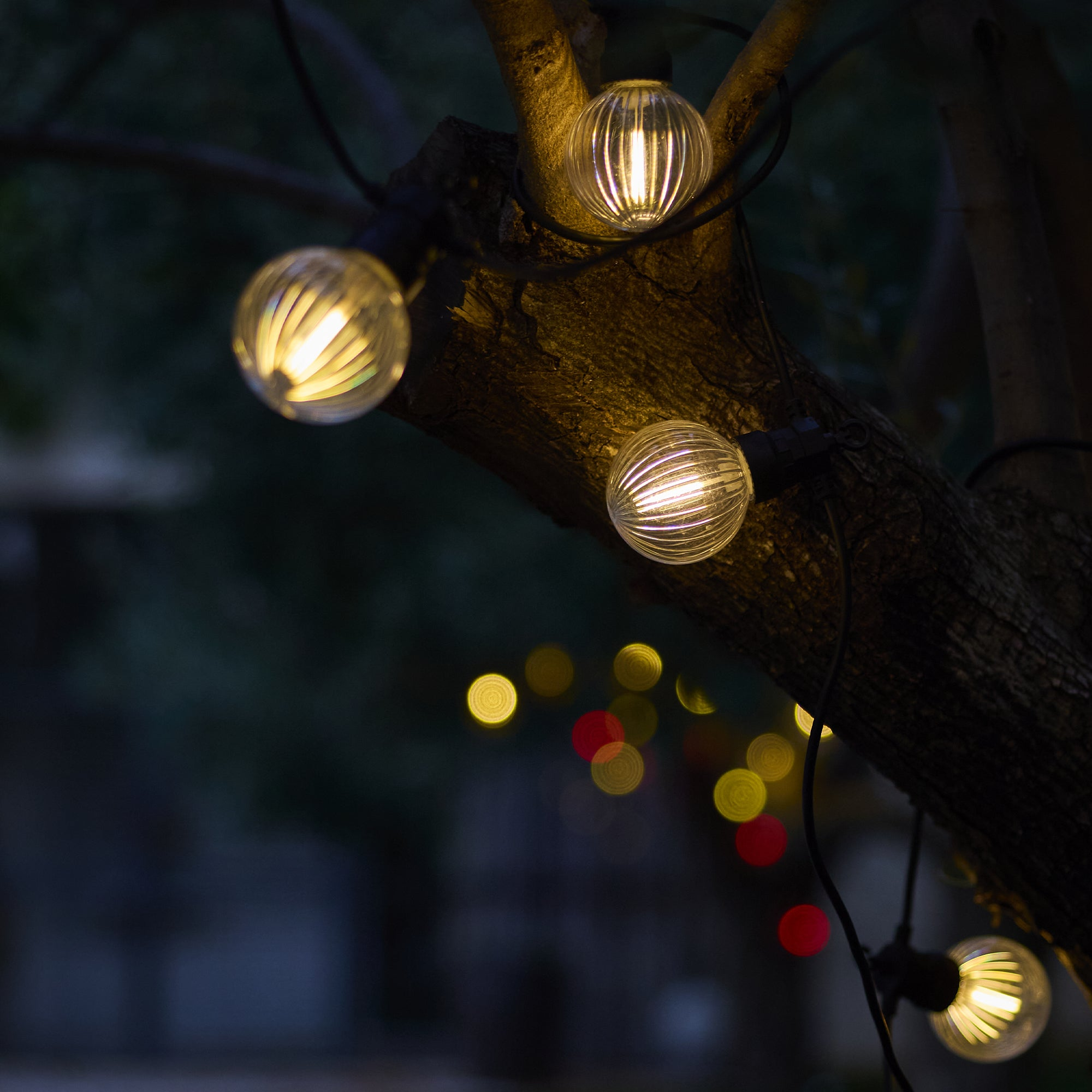 Lichterketten mit leuchtenden Glühbirnen an einem Ast bei Nacht. Gelbe und rote Bokeh-Lichter im Hintergrund.