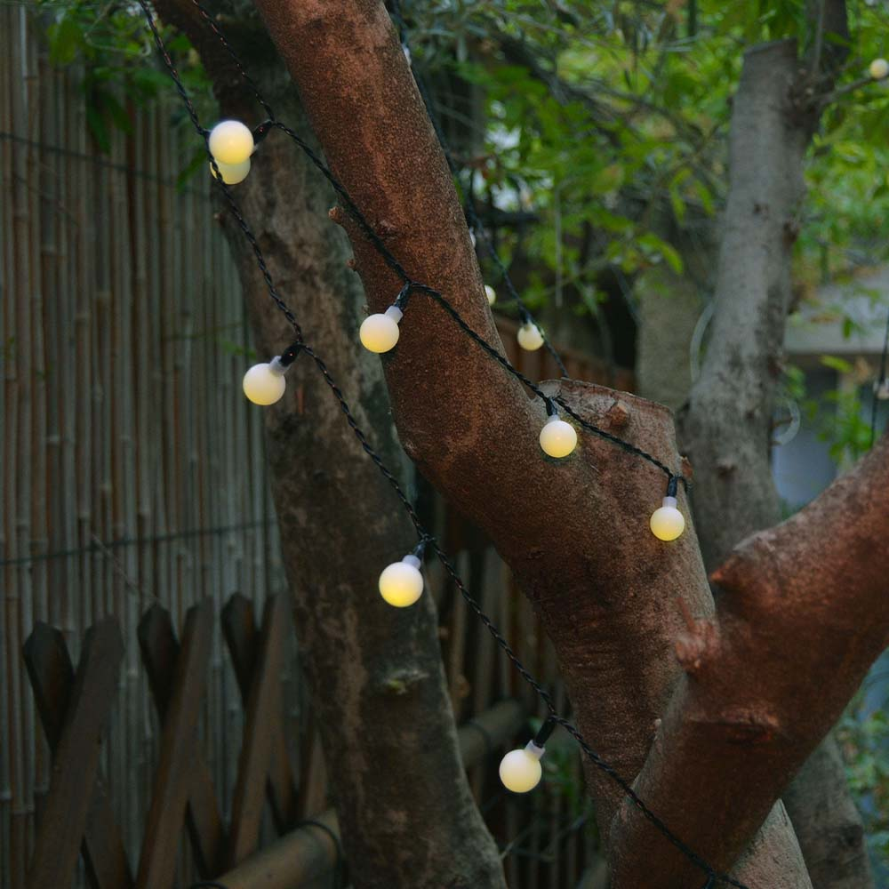 Lichterketten mit runden Glühbirnen sind an Ästen befestigt. Die Lichter sind weiß und der Baum ist braun. Grüne Blätter im Hintergrund.