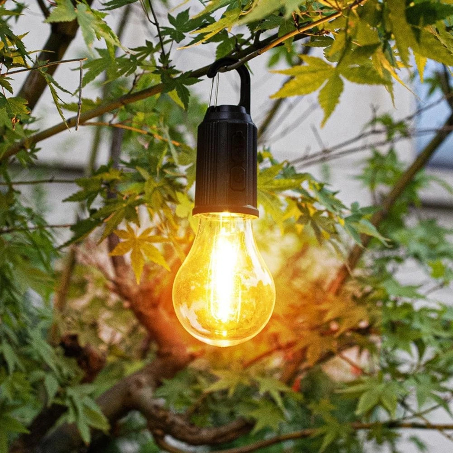 Una lampadina incandescente appesa a un ramo, circondata da foglie verdi. La lampadina è gialla e luminosa.