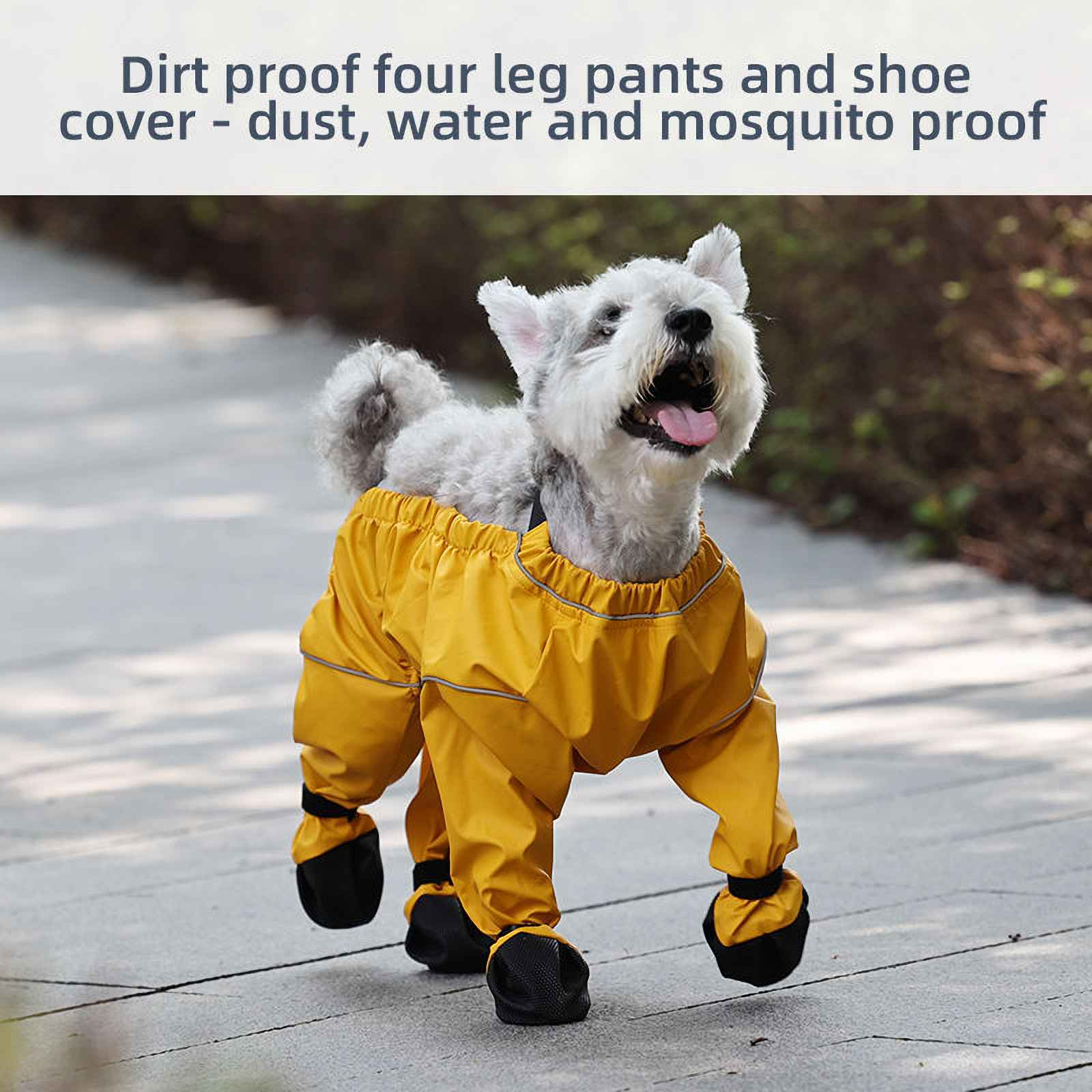 Ein Hund trägt eine gelbe wasserdichte Hose und Schuhüberzieher und geht auf einer gepflasterten Oberfläche.