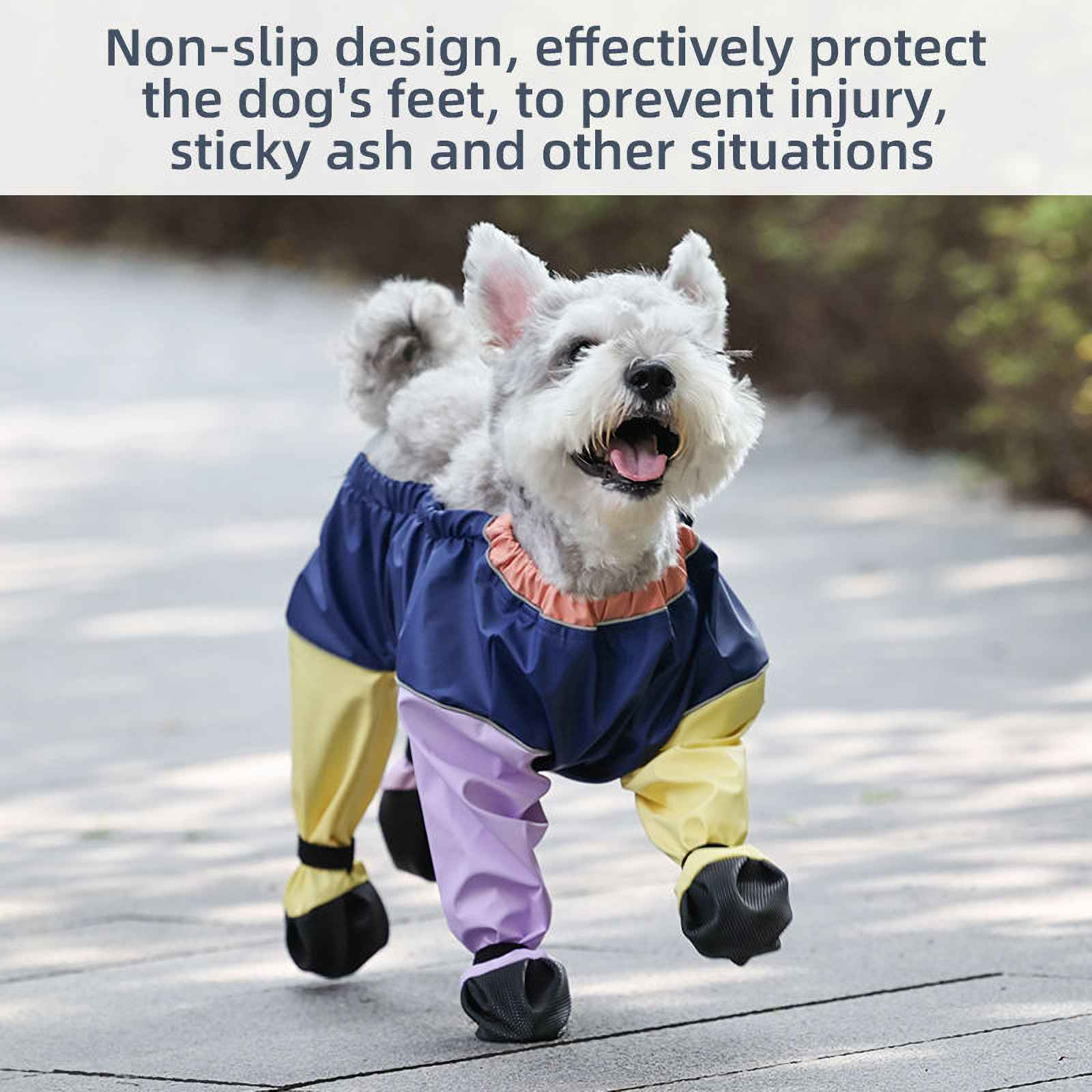 Ein Hund in bunter Schutzkleidung steht auf einem Pfad. Er hat blaue, gelbe und lila Beine und schwarze Stiefel.