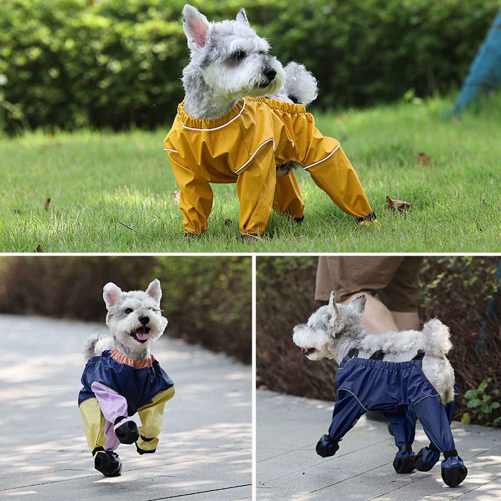 Drei Hunde in Regenanzügen, gelb und blau, auf Gras und Pflaster. Ein Hund rennt.
