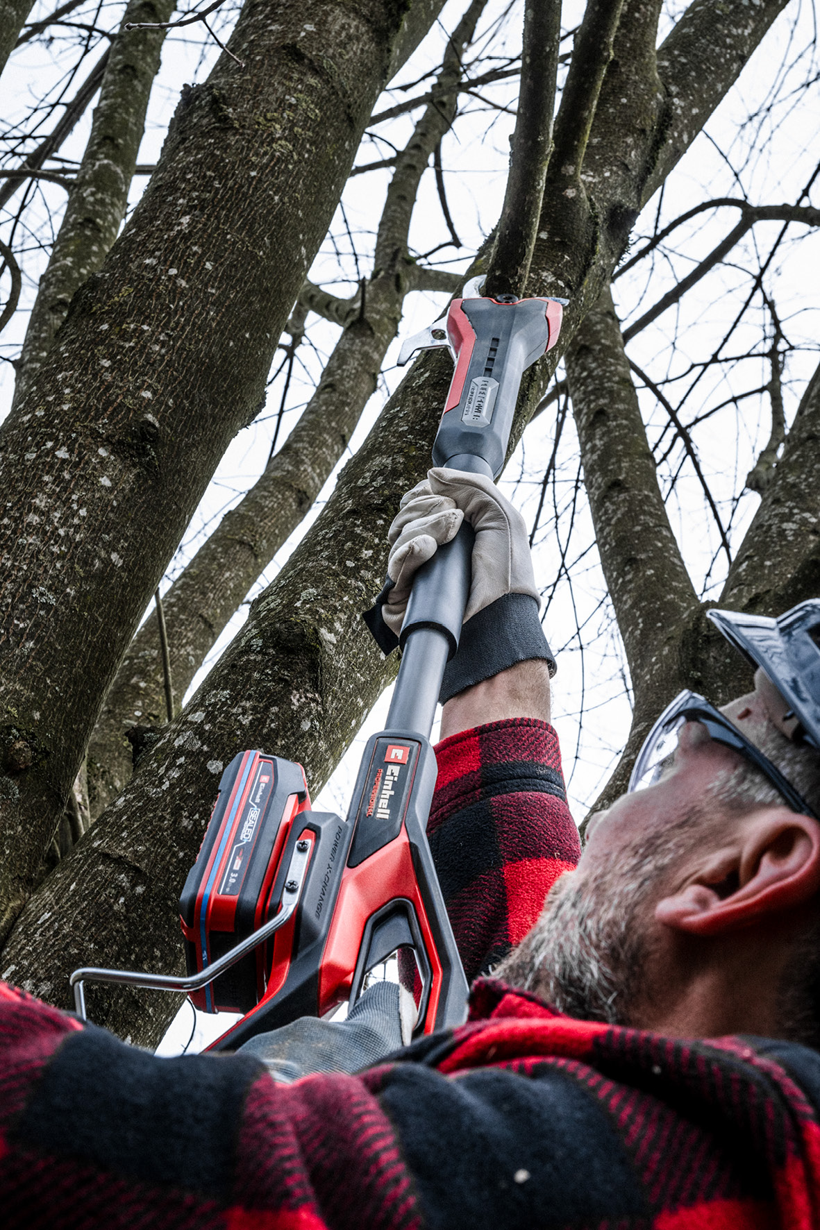 Ein Mann in einem rot karierten Hemd benutzt eine rot-schwarze Stangensäge, um einen Baum zu beschneiden. Der Himmel ist sichtbar.