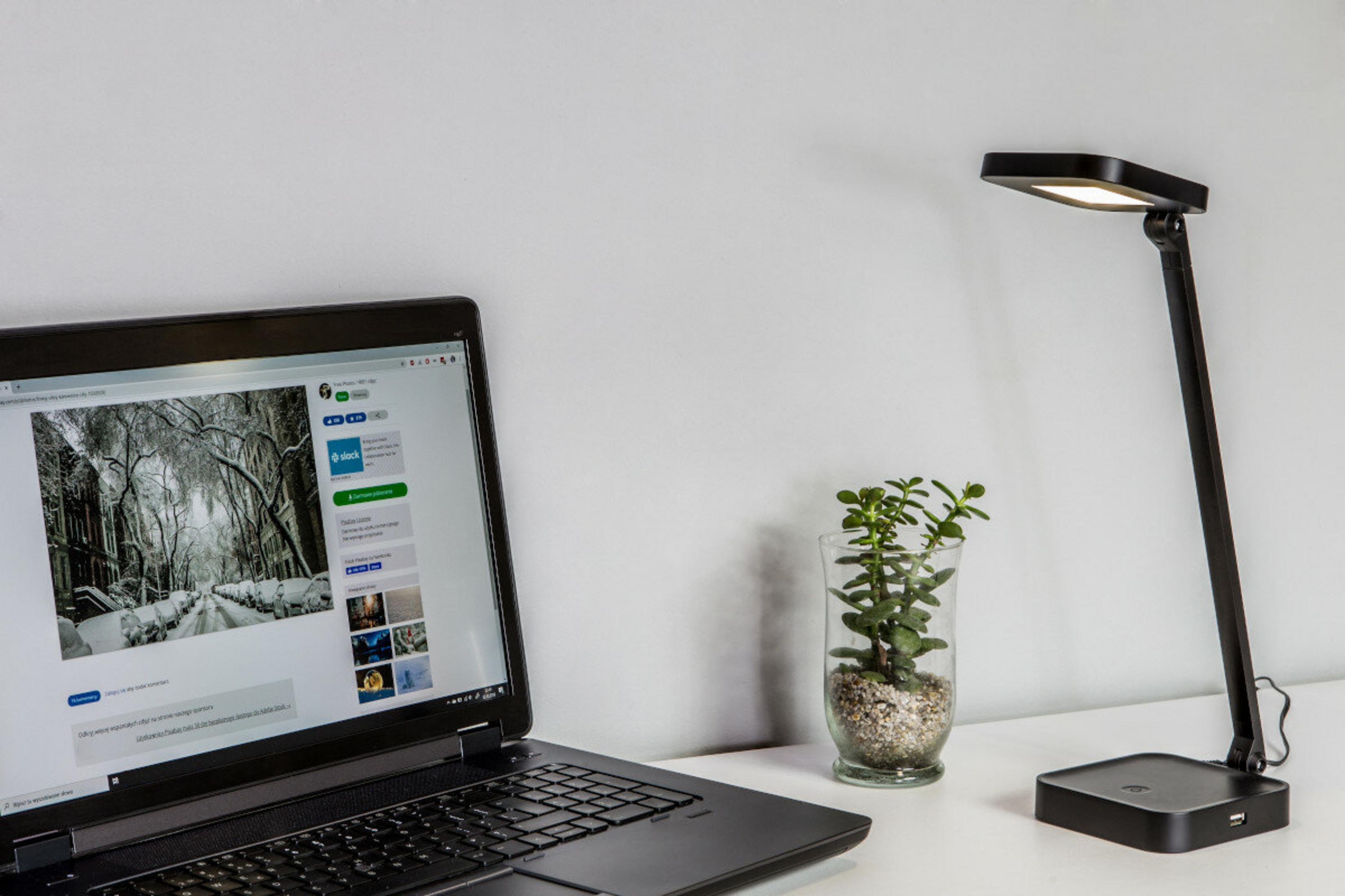 Schreibtisch mit Laptop, Pflanze im Glas und schwarzer Lampe. Laptop zeigt verschneite Straßenszene.