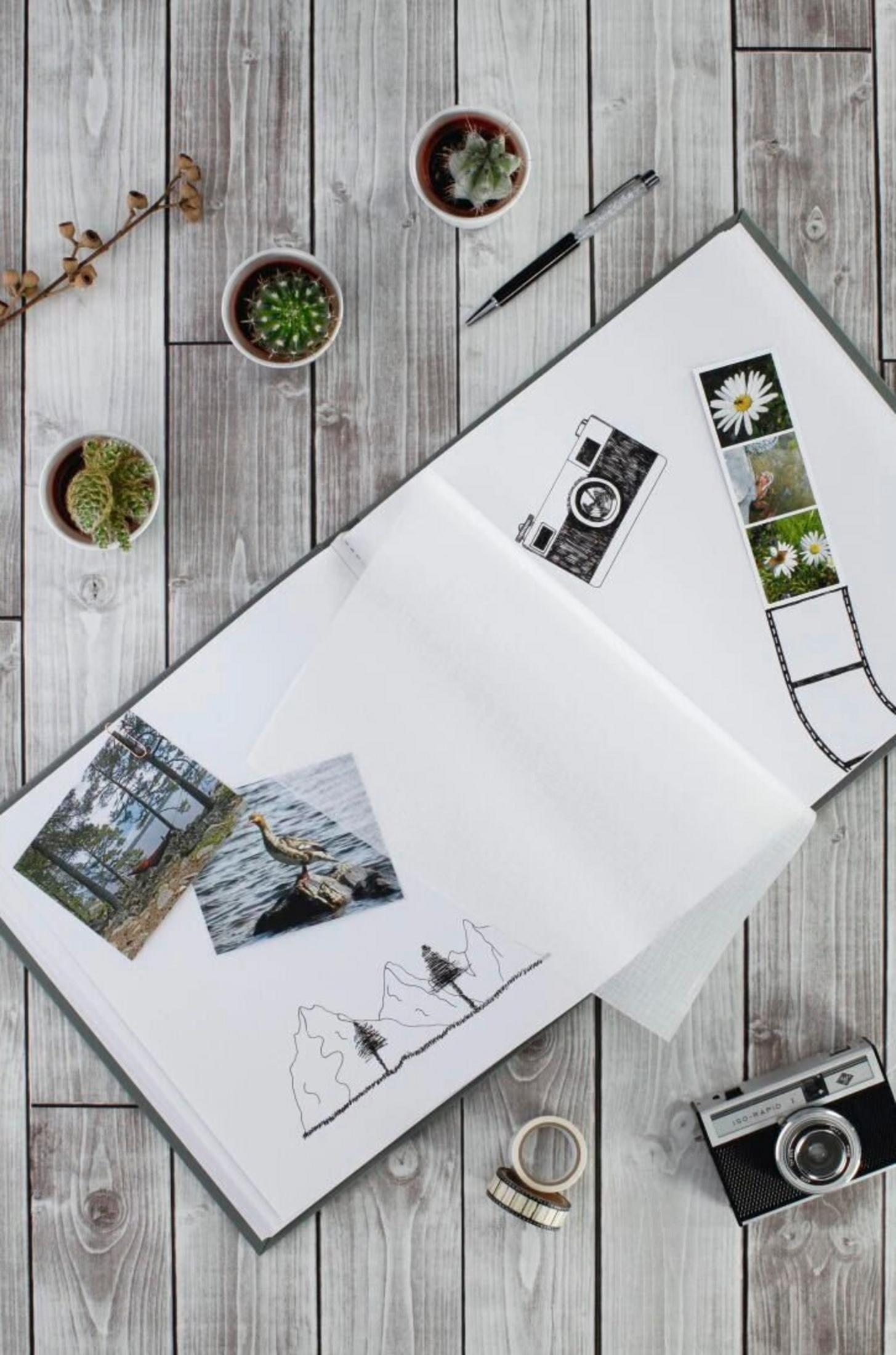 Otwarta książka z rysunkami i zdjęciami, kaktusy w donicach, długopis i aparat na drewnianym tle.