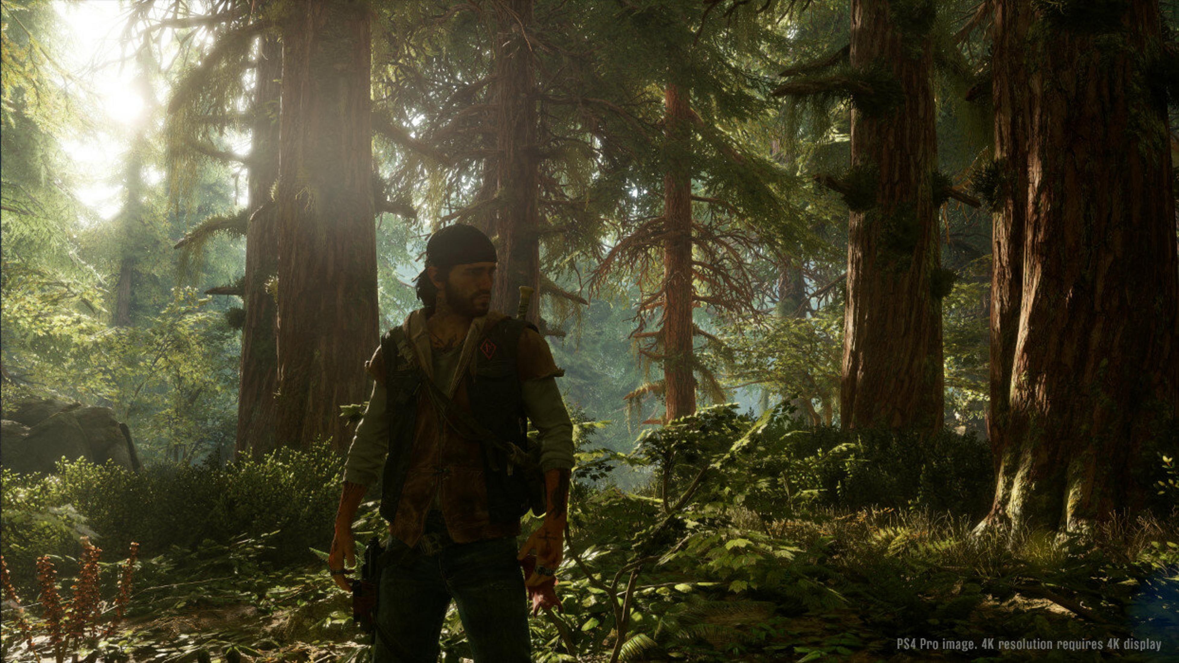 Un uomo è in una foresta con alberi alti. Indossa un gilet, una camicia e un cappello. La luce del sole filtra tra gli alberi.