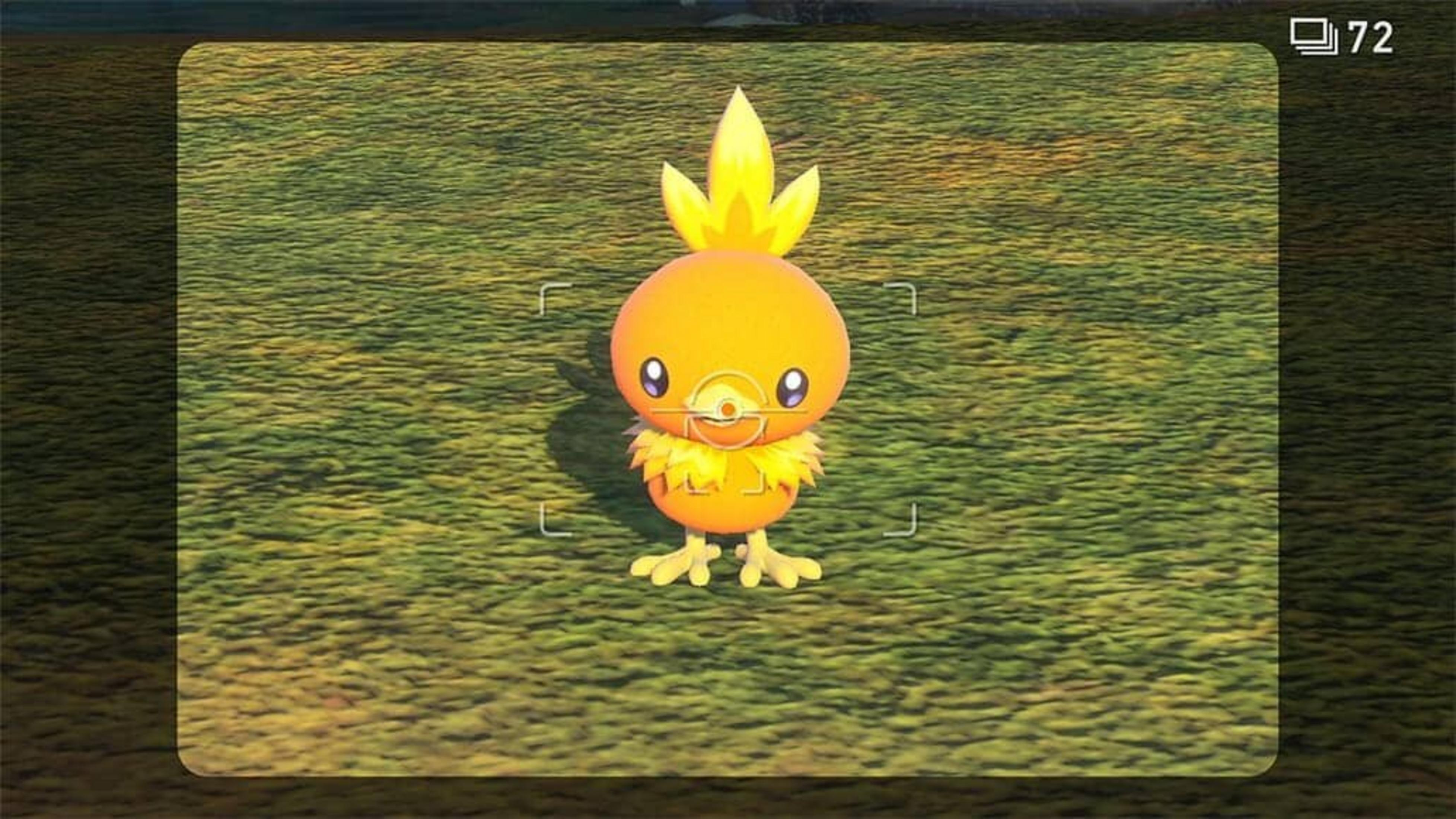 Pomarańczowy Pokémon, Torchic, stoi na trawiastym polu. Ma żółte płomienie na głowie i żółte pióra wokół szyi.