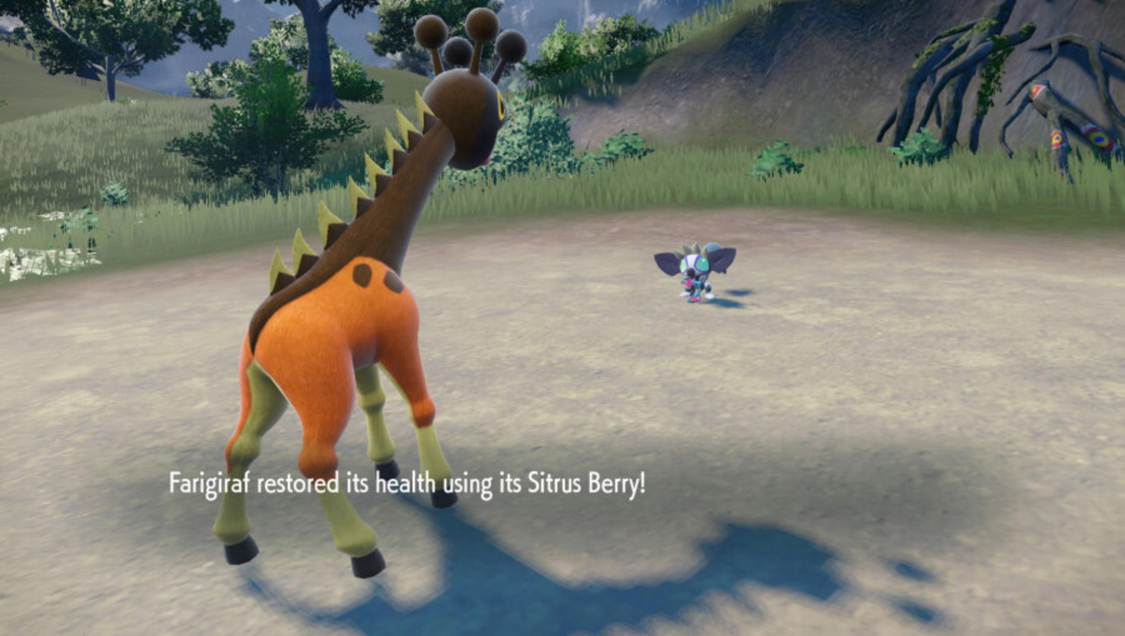 Girafarig używa jagody Sitrus. Girafarig jest pomarańczowy i brązowy. Inne stworzenie jest małe i niebieskie. Zielona trawa i drzewa w tle.