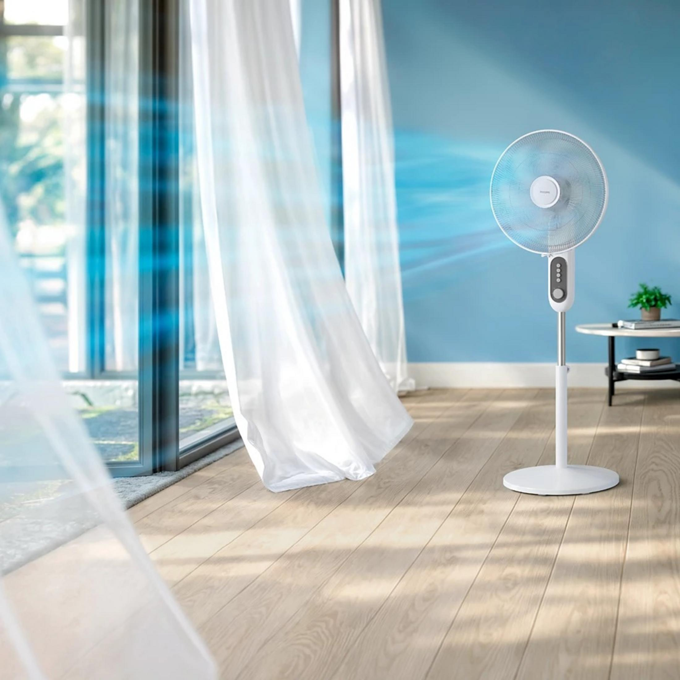 A white fan blows air in a room with a blue wall and curtains. Sunlight streams in. The floor is wooden.