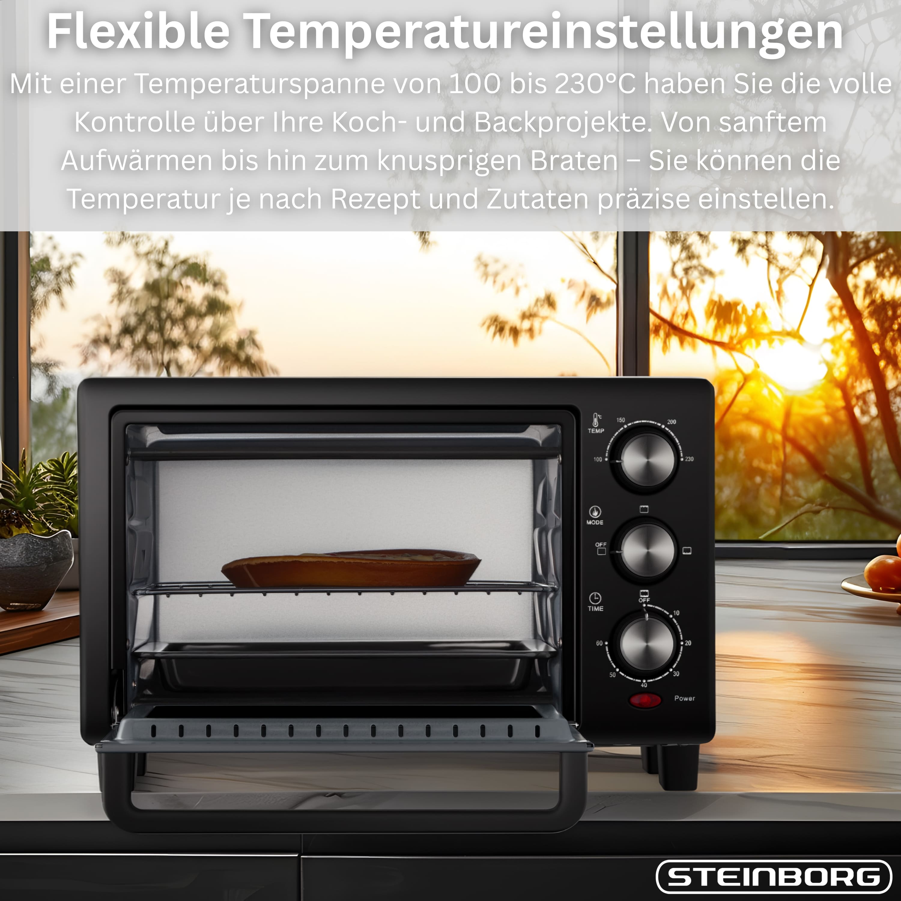 Schwarzer Ofen mit offener Tür, Essen darin. Bedienelemente sind Temperatur, Modus und Timer. Hintergrund ist ein Fenster.