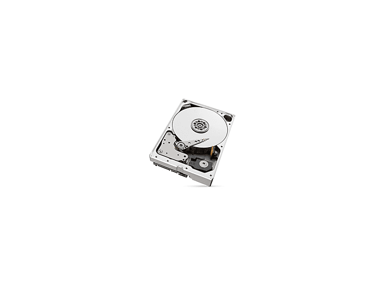 SEAGATE IronWolf Pro ST10000NT001 SATA 6 Gbit/s 10 TB Dahili Hard