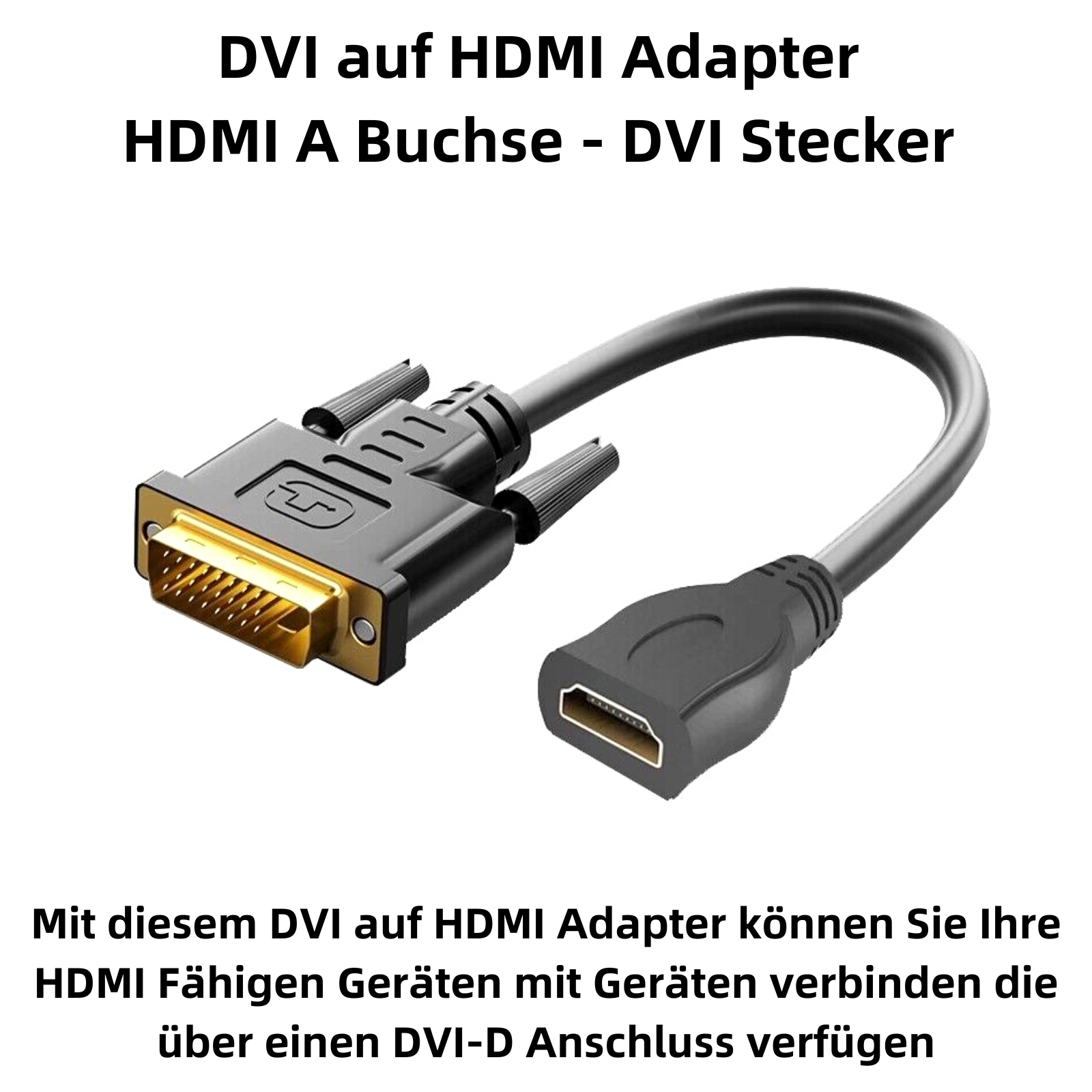 Ein DVI-zu-HDMI-Adapterkabel. Ein Ende ist ein DVI-Stecker, das andere HDMI. Text oben.