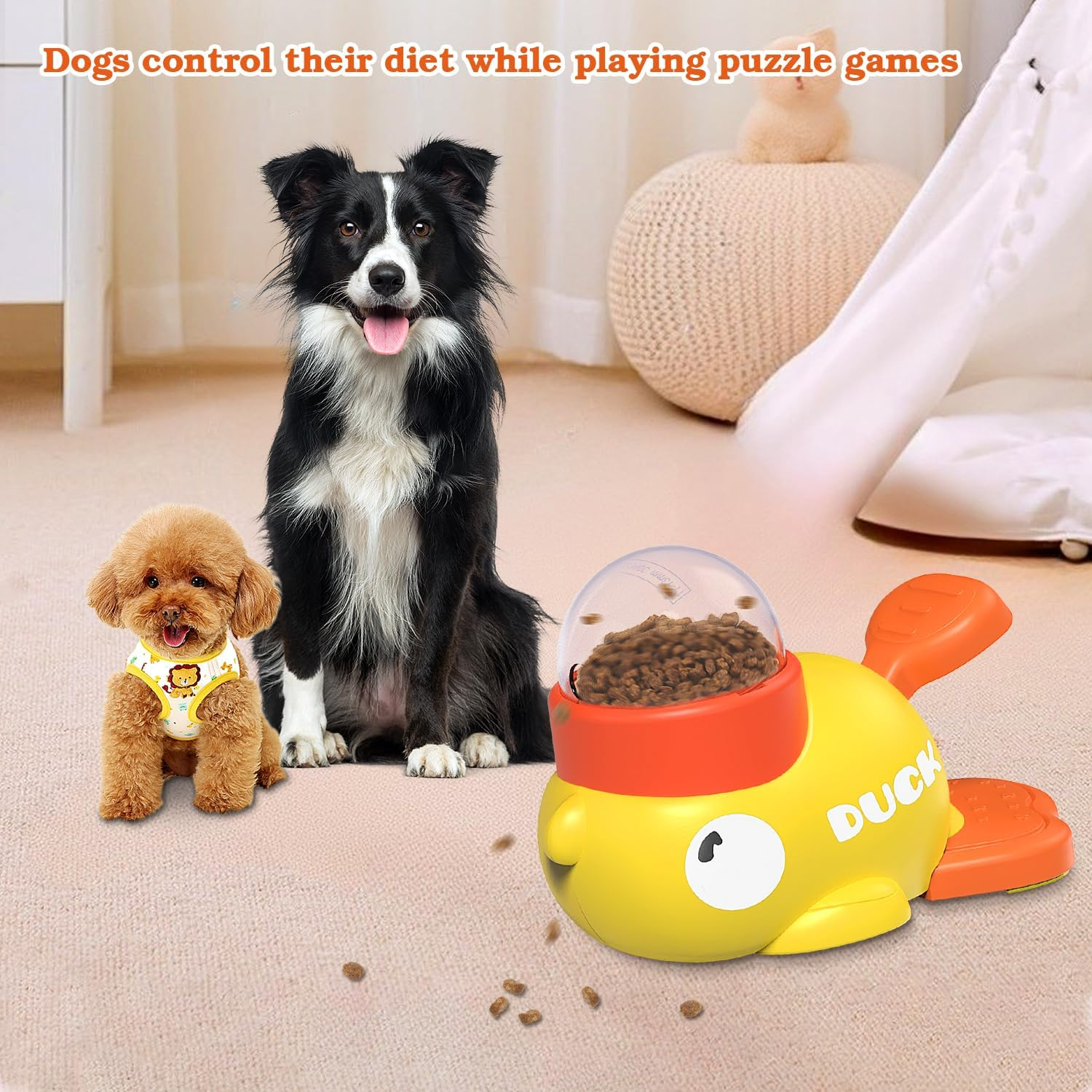 Zwei Hunde, ein schwarz-weißer und ein brauner, mit einem gelben Enten-Puzzle-Spielzeug, das mit Futter gefüllt ist. Die Hunde sind in einem Raum.