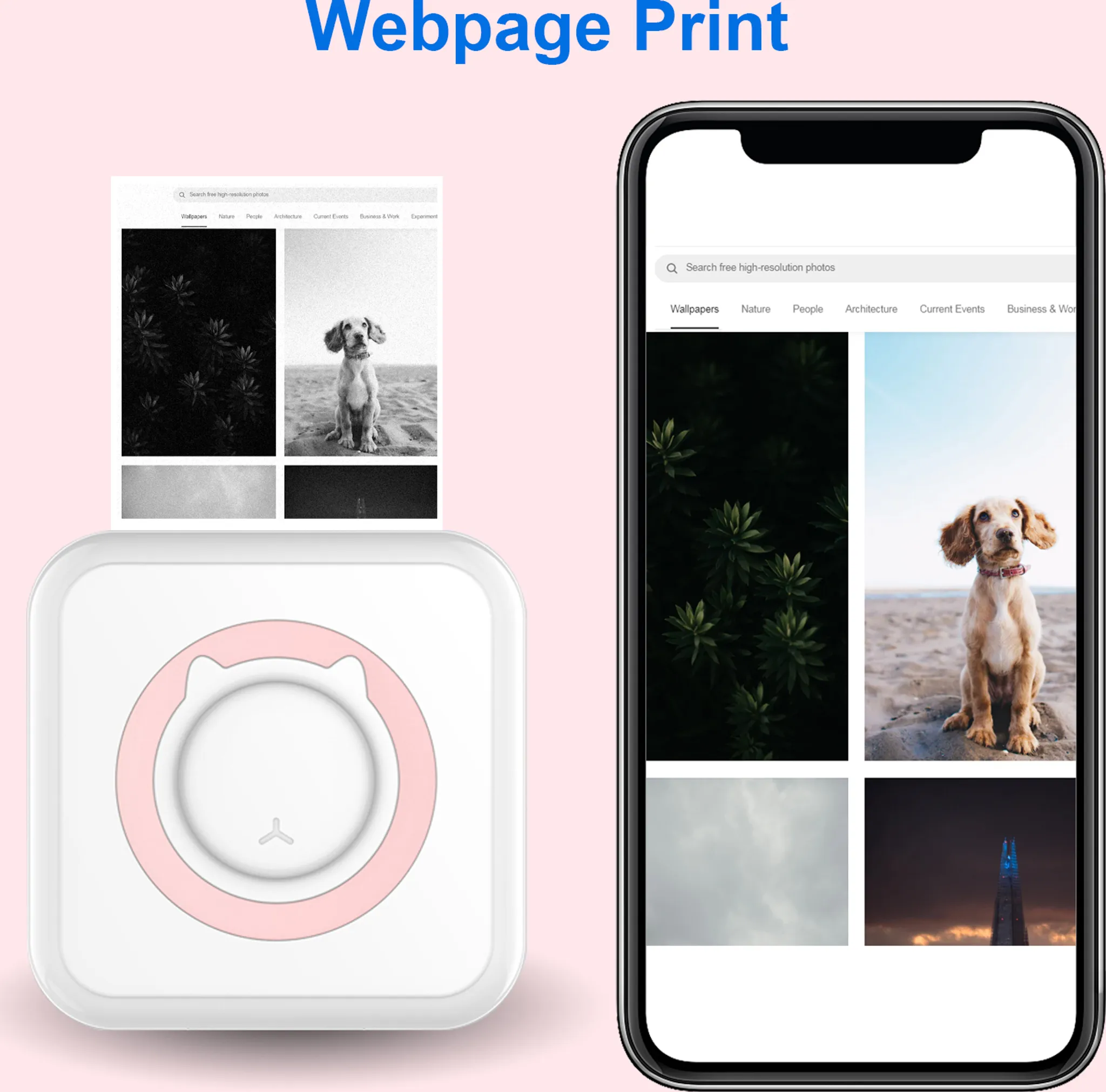 Ein Telefon, das eine Webseite mit Bildern anzeigt, ein Drucker mit Katzen-Gesicht-Design und ein rosa Hintergrund.