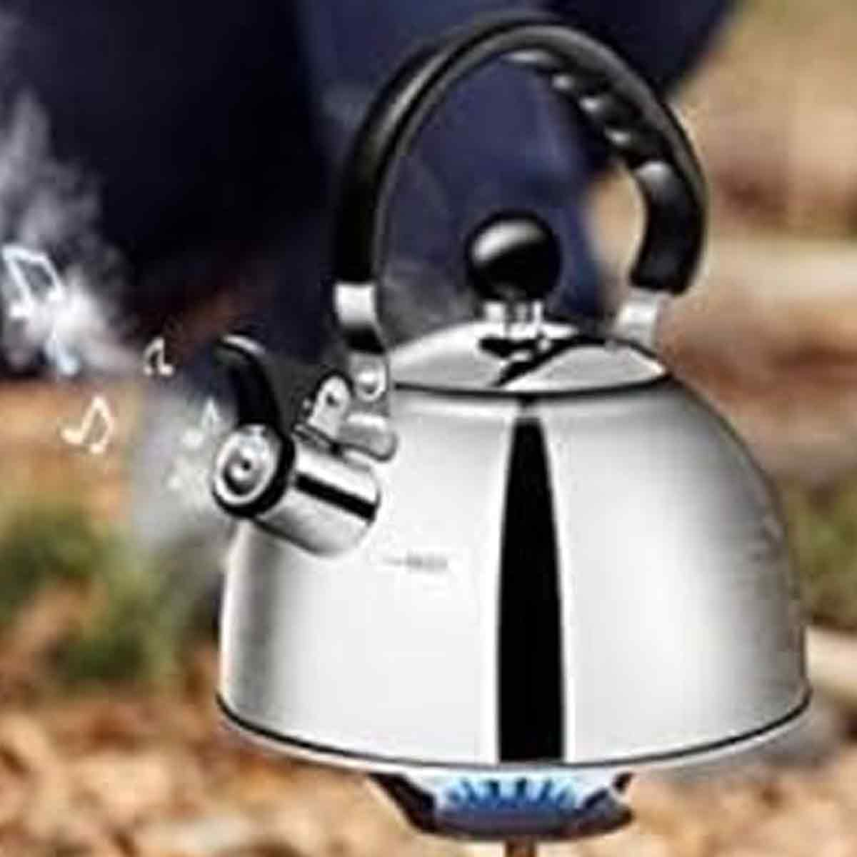Ein glänzender silberner Wasserkocher auf einer blauen Flamme. Dampf steigt auf, und Musiknoten schweben um ihn herum. Ein schwarzer Griff wölbt sich darüber.