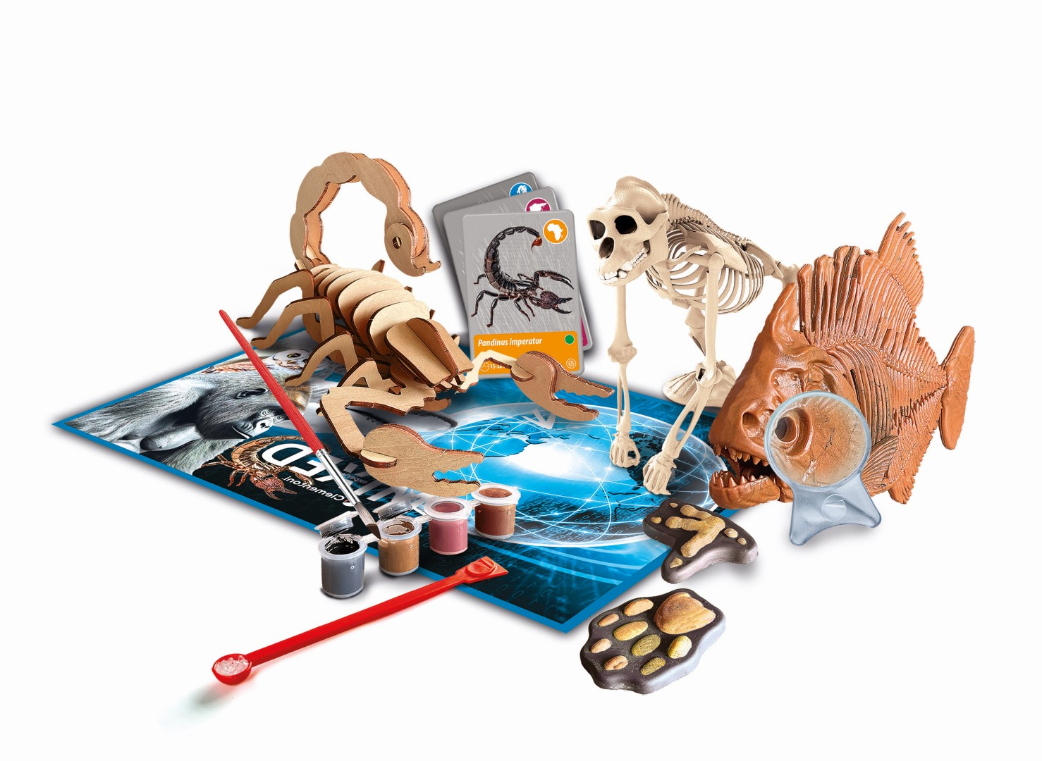 Zestaw z drewnianym skorpionem, szkieletem człowieka, szkieletem ryby, farbą, kartami i szkłem powiększającym na mapie.