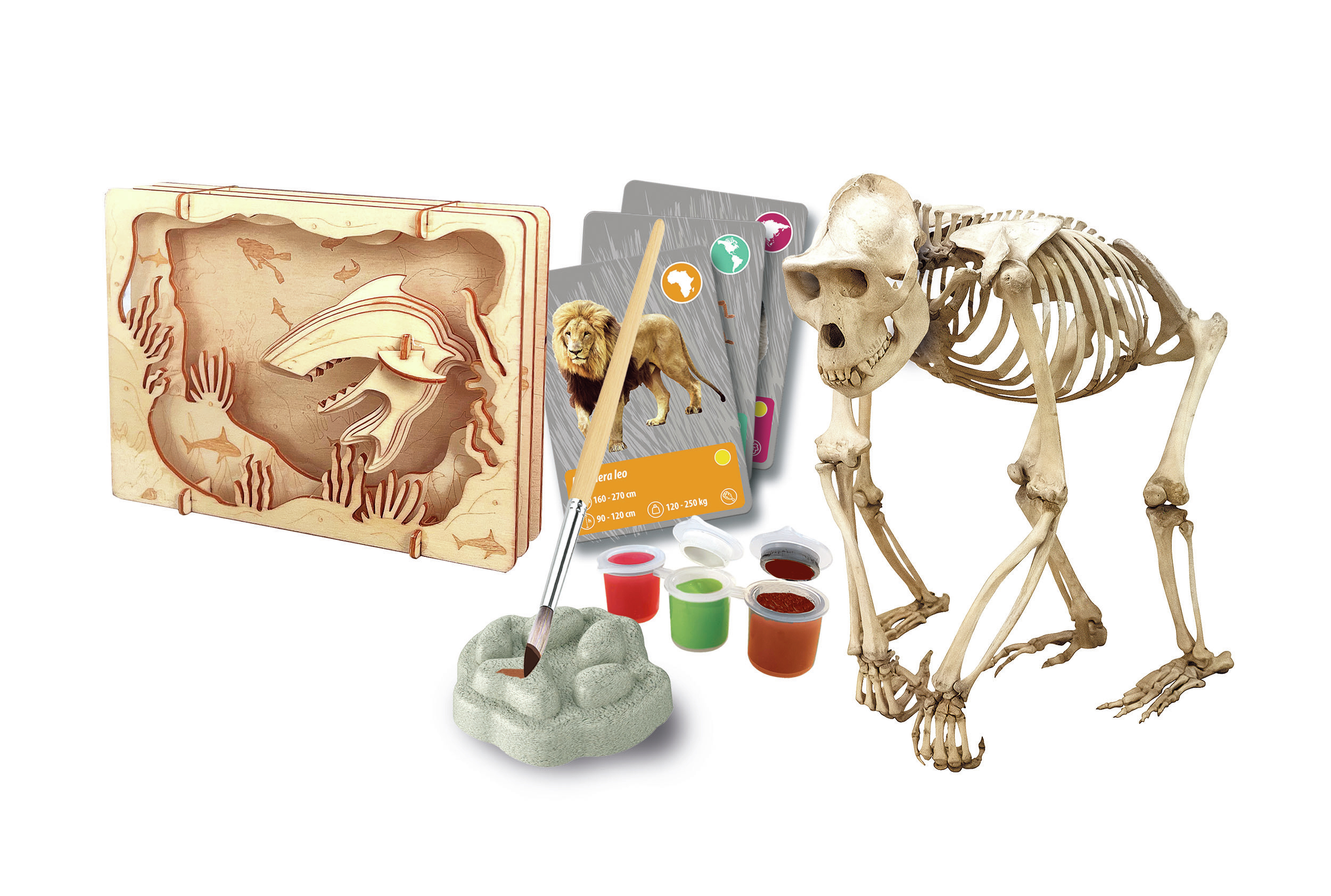 Obraz przedstawia drewnianą dioramę rekina, karty z lwami, szkielet goryla, farbę i pędzle na białym tle.