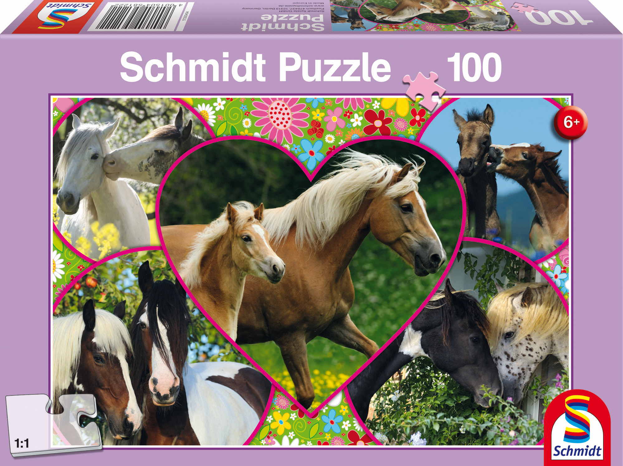Puzzledose mit Pferdebildern. Pferde verschiedener Farben und Rassen sind abgebildet, umgeben von Blumendesigns.