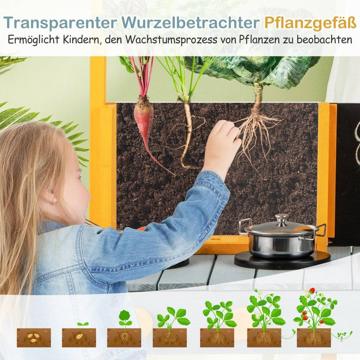 Una niña toca las raíces de las plantas en un recipiente transparente. Remolacha, hojas verdes y una col son visibles. Se muestra una olla y etapas de crecimiento.
