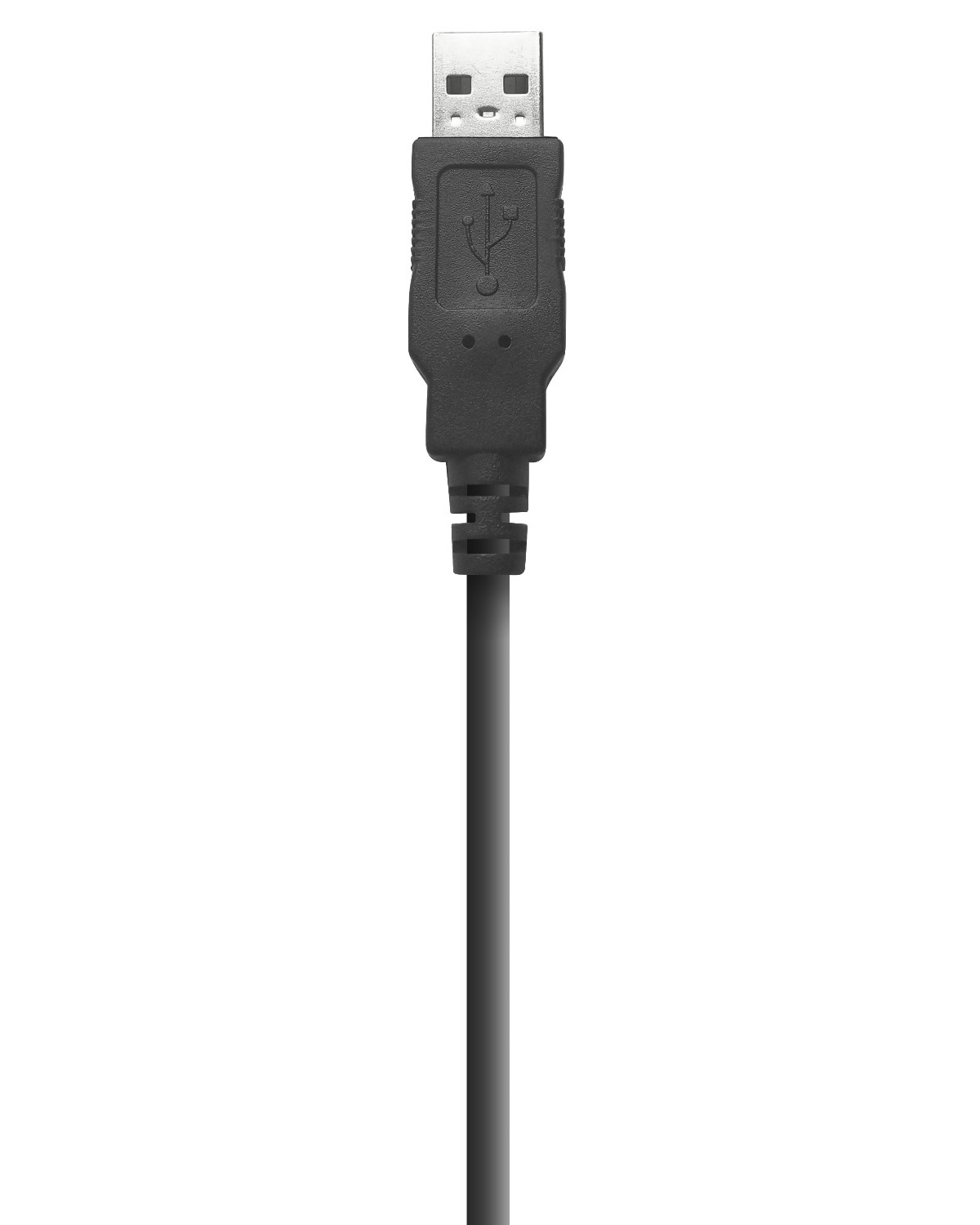 Nahaufnahme eines schwarzen USB-Kabels mit dem nach oben zeigenden USB-Ende. Das Kabel befindet sich auf weißem Hintergrund.