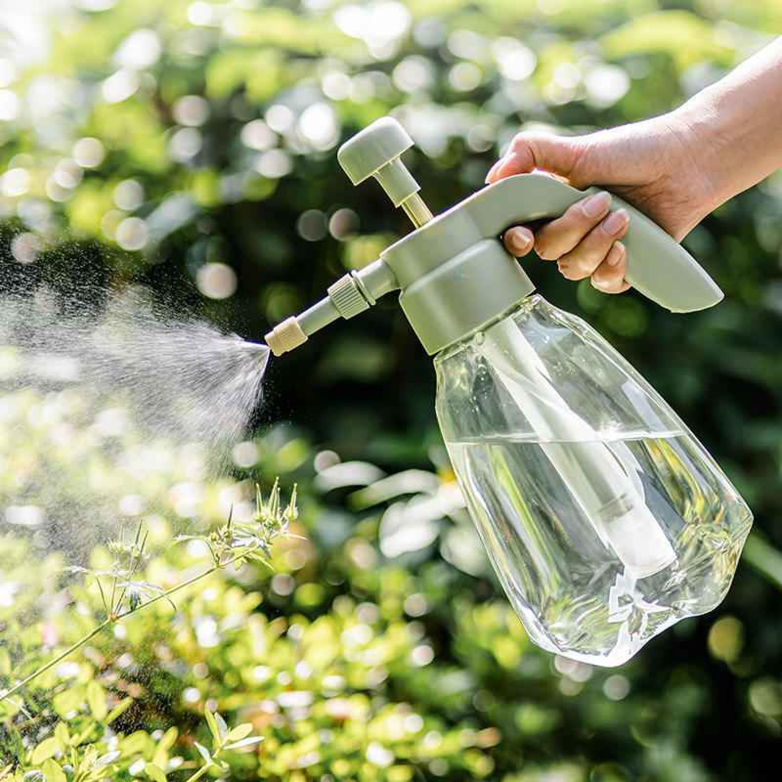 Eine Hand hält eine grüne Sprühflasche und sprüht Wasser auf grüne Pflanzen. Die Flasche ist klar und enthält Wasser.