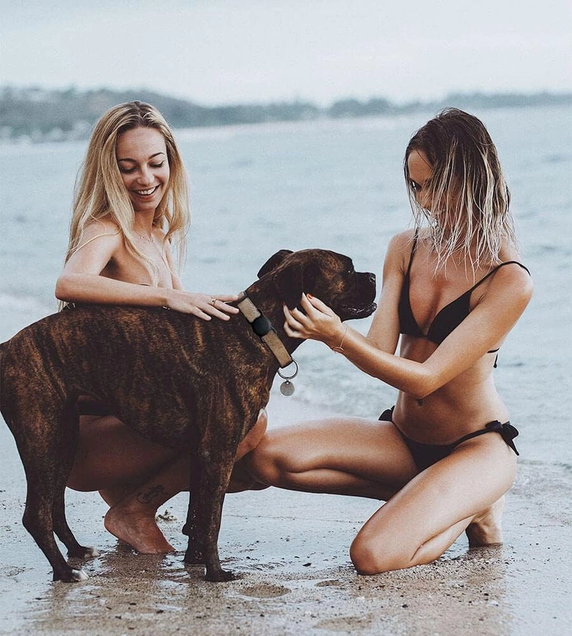 Zwei Frauen und ein Hund am Strand. Eine Frau ist oben ohne, die andere in einem schwarzen Bikini. Der Hund hat ein braunes und schwarzes Fell.