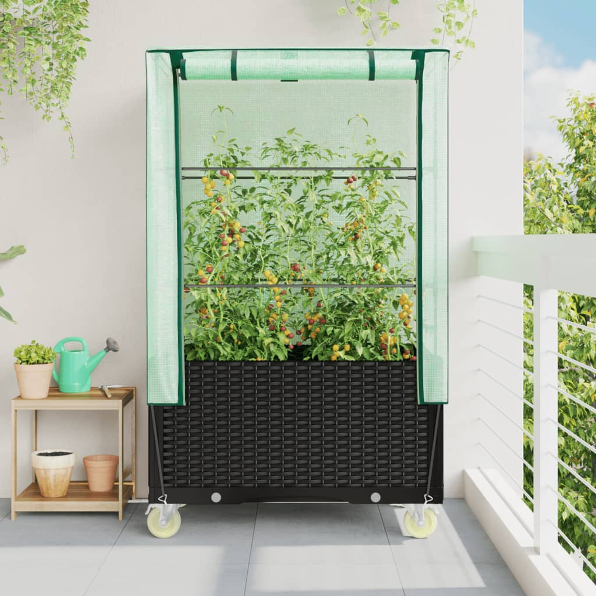 Una serra per piante verde su un balcone. I pomodori crescono all'interno. Un annaffiatoio e vasi di fiori sono vicini.