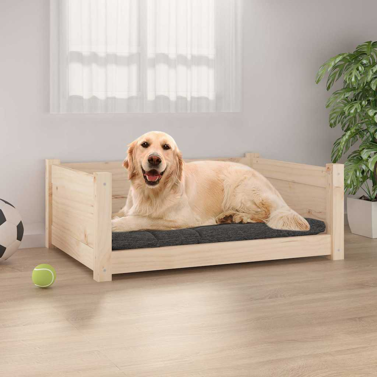Ein Golden Retriever liegt in einem Hundebett aus Holz. Ein Tennisball und ein Fussball liegen neben dem Bett. Im Hintergrund ist eine Pflanze.