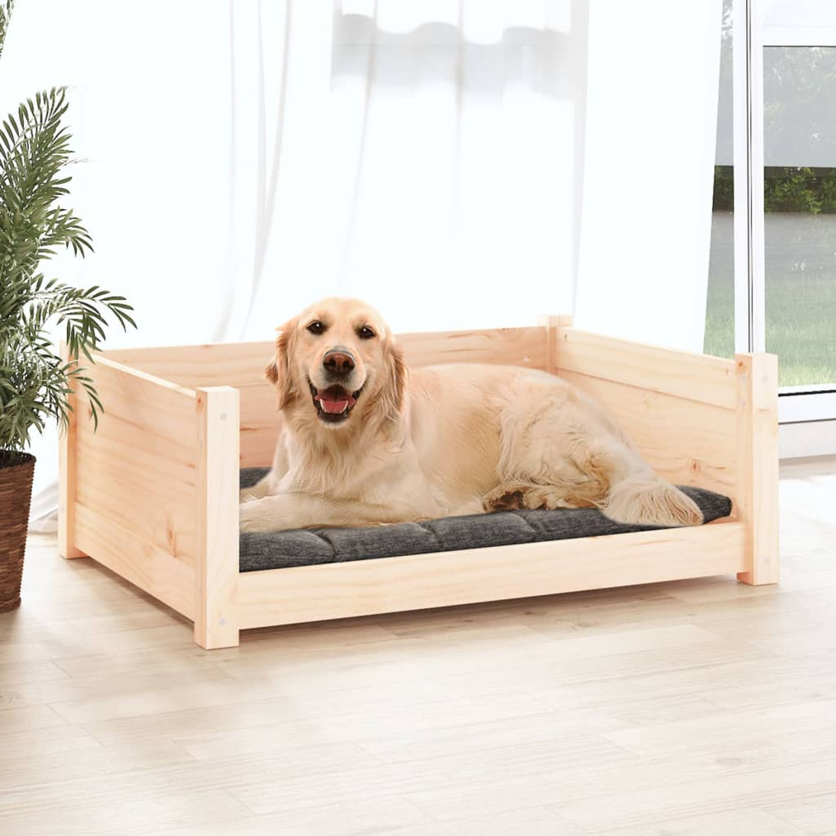 Golden Retriever liegt in einem Holzhundebett mit grauem Kissen. Links ist eine Pflanze. Weiße Vorhänge sind im Hintergrund.